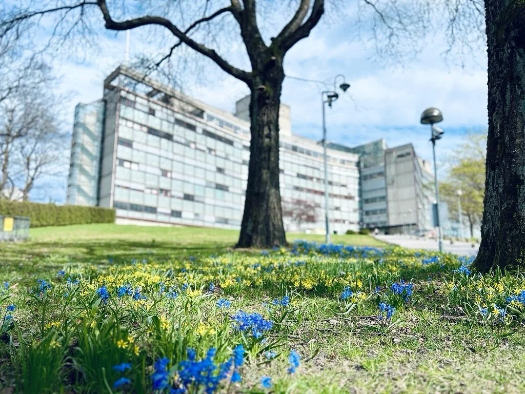 Pilot vant konkurransen om rehabiliteringen av Oslo Politihus p&aring; Gr&oslash;nland 🥳 
Vi er utrolig stolte og ser frem til &aring; bist&aring; @statsbygg med denne spennende og betydningsfulle oppgaven, sammen med v&aring;re samarbeidspartnere @