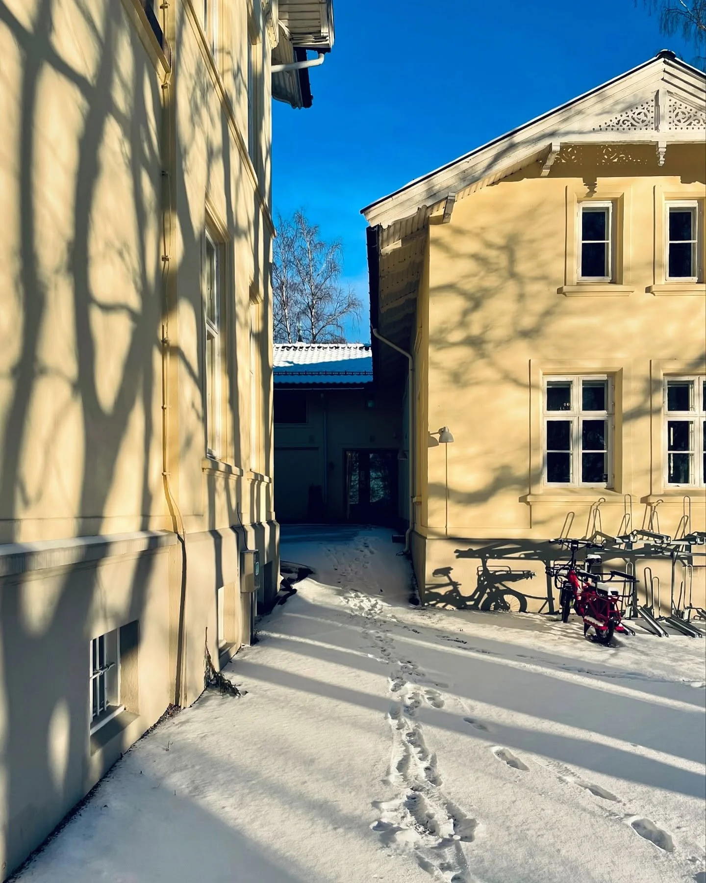 Godt nytt &aring;r! 🌟
Nydelig start p&aring; &aring;ret med ordentlig vinterstemning utenfor &laquo;Stallen&raquo; ❄️ Vi gleder oss til &aring; ta fatt p&aring; det 2025 byr p&aring;!