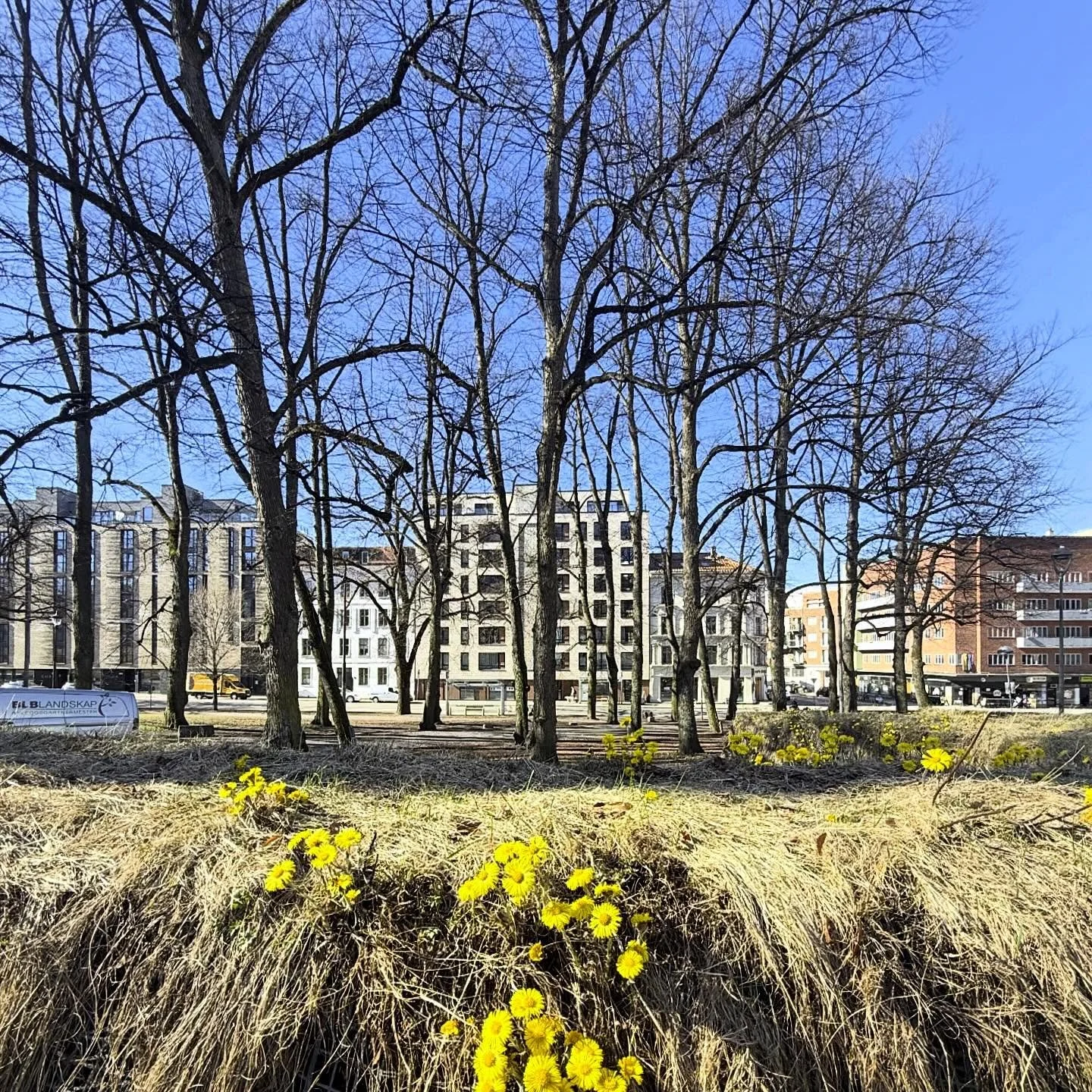 V&aring;r p&aring; Gr&oslash;nland 🌼
I bakgrunnen av hestehovene skimtes b&aring;de Gr&oslash;nlandsleiret 61 og 55. Boligprosjekter ferdigstilt i 2015 og 2023! 

Og n&aring; jobber vi med bygningen over gata! 

God v&aring;r 🌿🌱