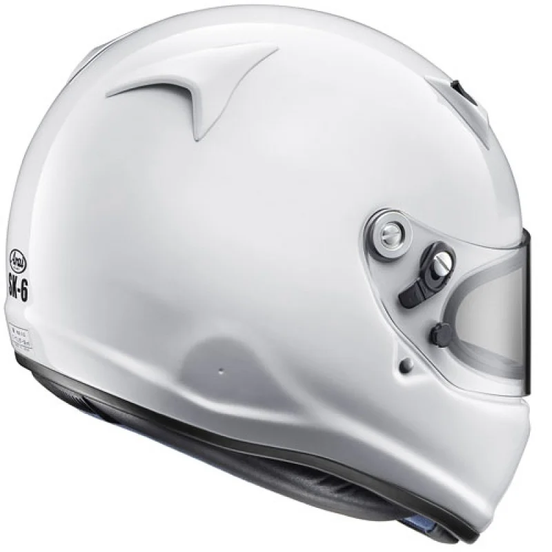 AraiSk-6backview.jpg