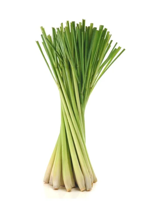 lemongrass 2.JPG