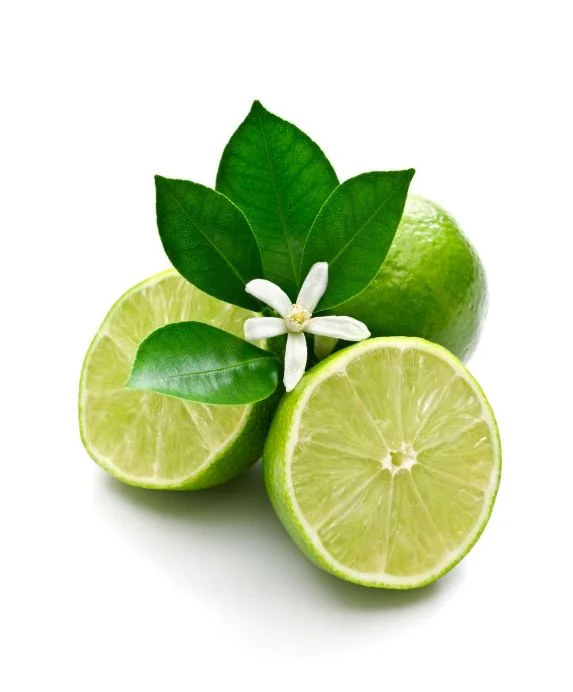 Lime 2.JPG