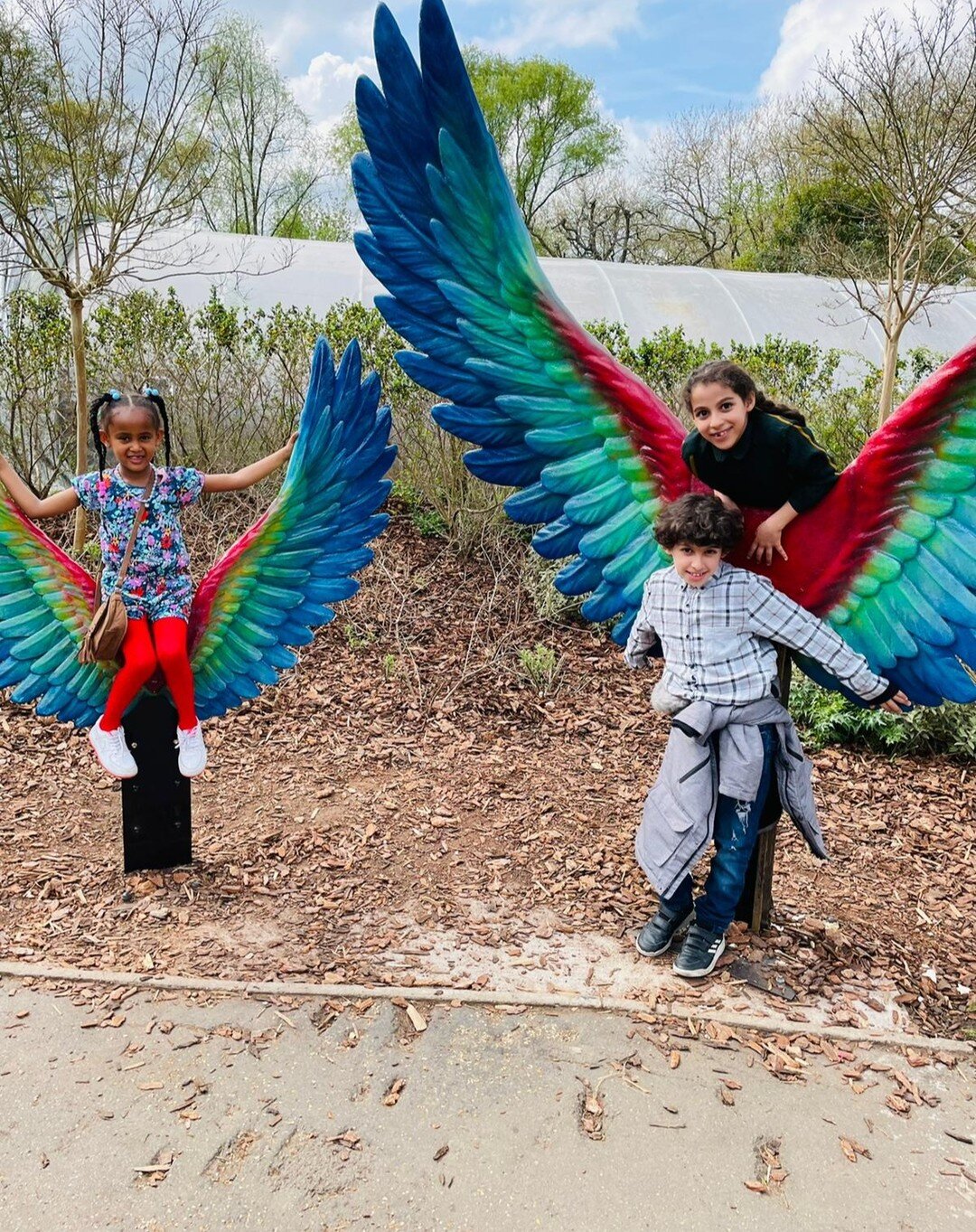 Thank you @zsllondonzoo! We had the loveliest time saying 'hello' to all our friends - the lion even roared back at us! Here is a snippet of our holiday outings - friends, sunshine and smiles! 😊

#hackneycommunity #londonzoo #holidayoutings #tempora