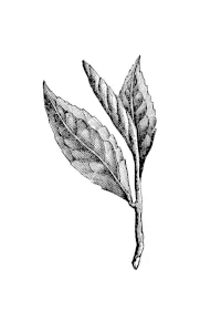 Untitled-1.jpg