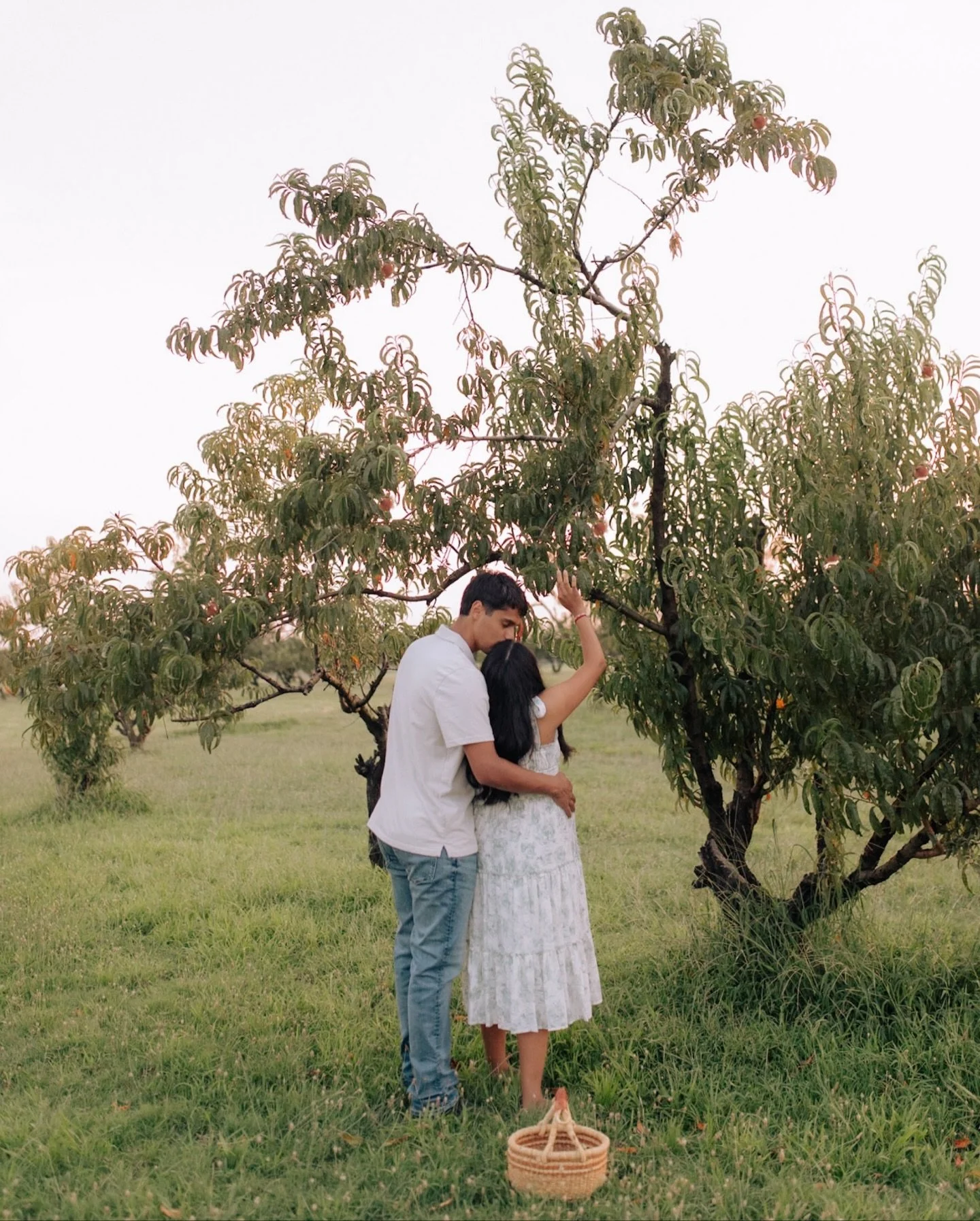 That dreamy orchard light + quiet anticipation. 🥹