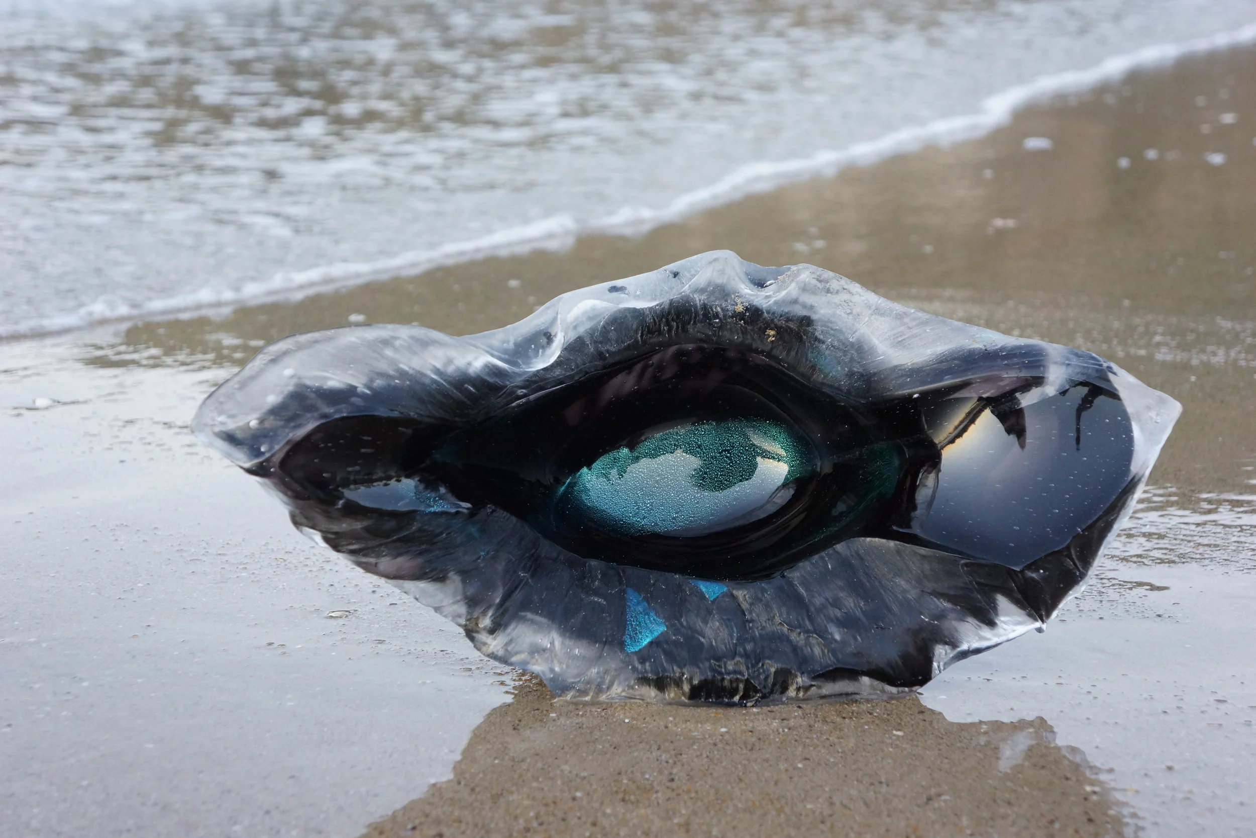   ORIGINE   II , 2015, 40x26x12 cm, Photo: didierlecoq.com 