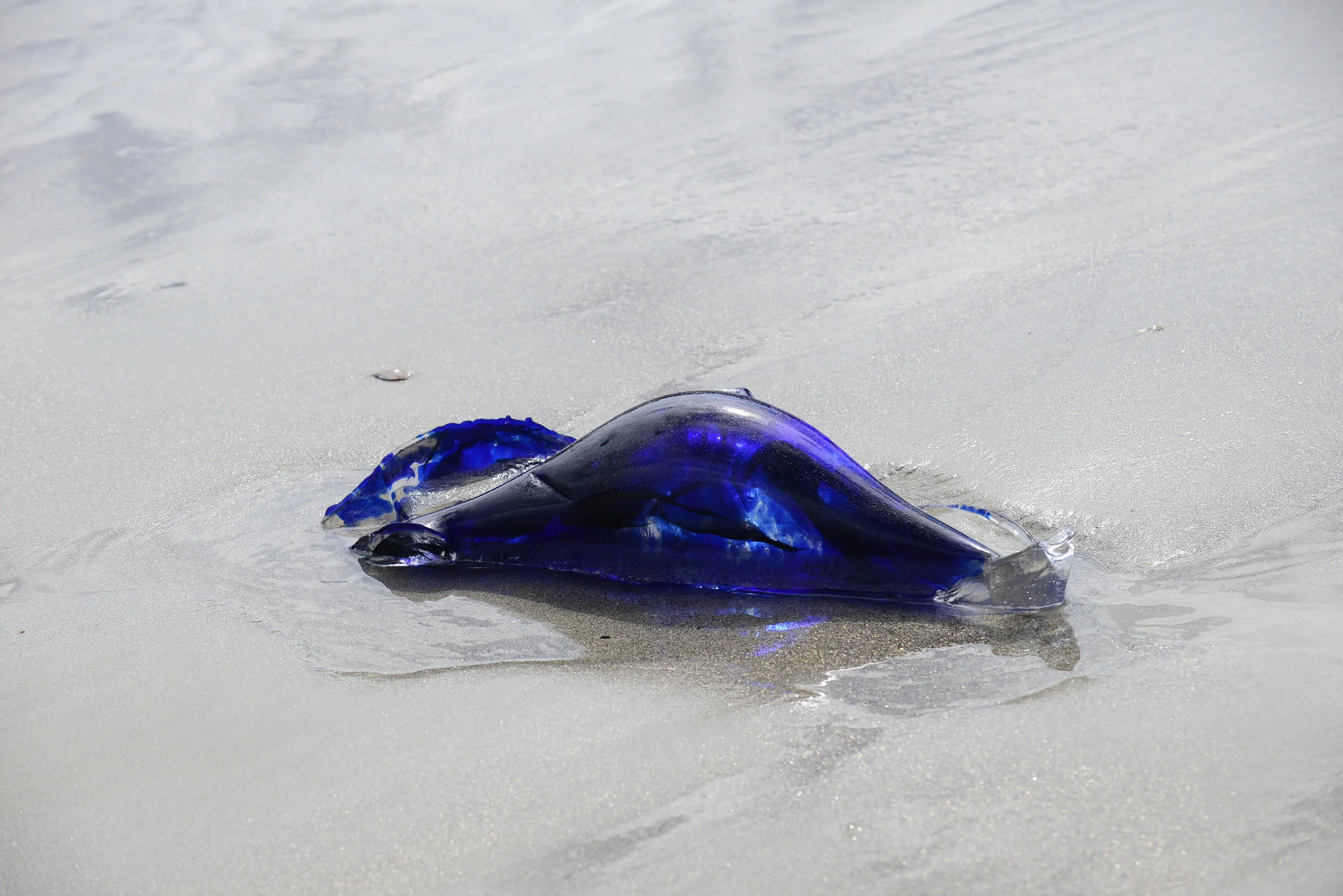   ORIGINE   VI , 2015, 50x18x10 cm, Photo: didierlecoq.com 