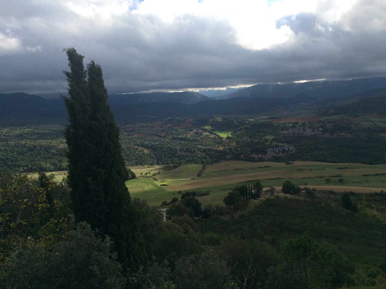 IMG_1989.jpeg