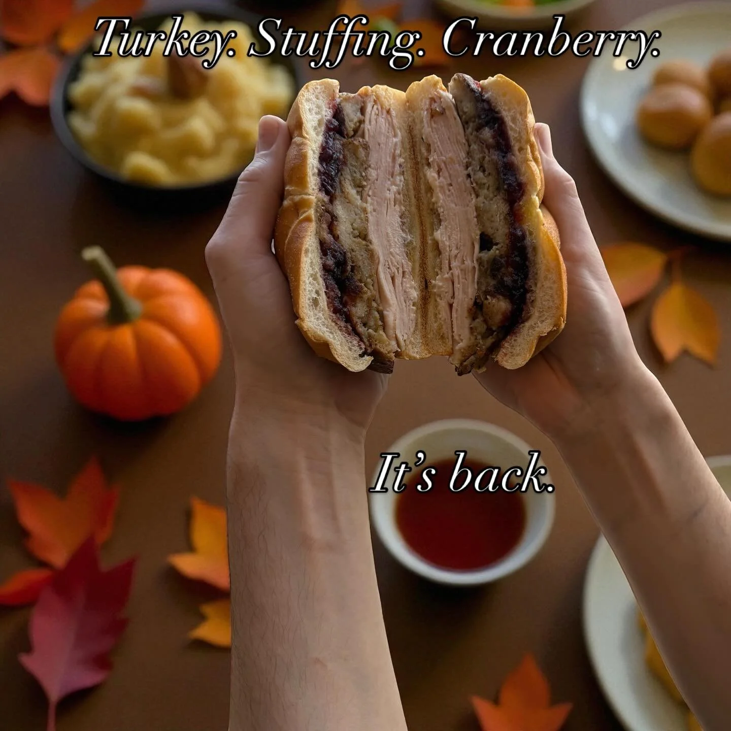 The Thanksgiving Sandwich is back! 

Turkey, Stuffing, Cranberry Sauce and Mayo. A better combo doesn&rsquo;t exist. 

Get it now through next week! 

#thanksgiving #thanks #turkey #germantown #hudsonvalley #newyork #upstateny