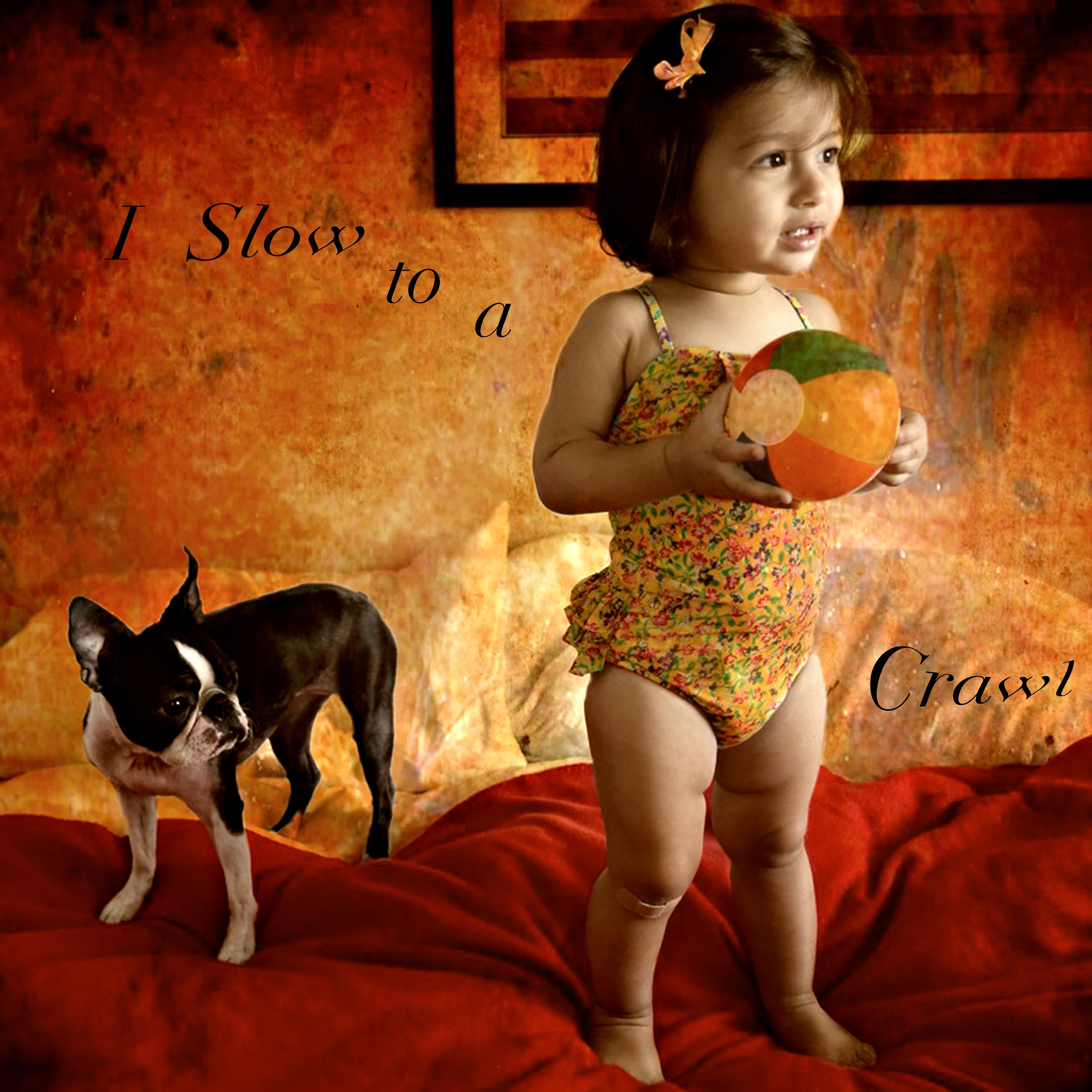 Babies-and-Dogs-Anshwara-I-slow-to-a-crawl.jpg