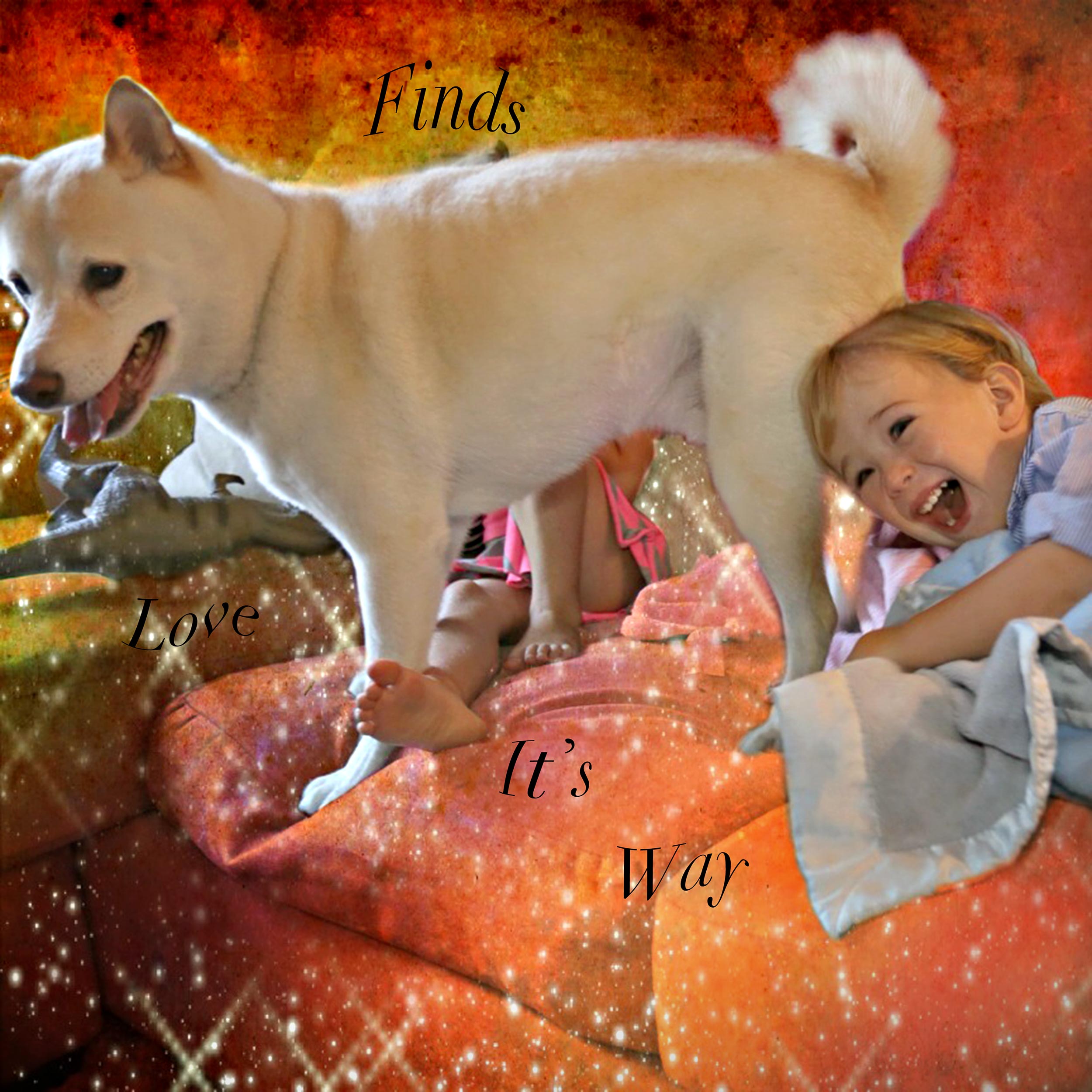 Babies-and-Dogs-Liv,-Leo-and-Tomo-on-Couch.jpg