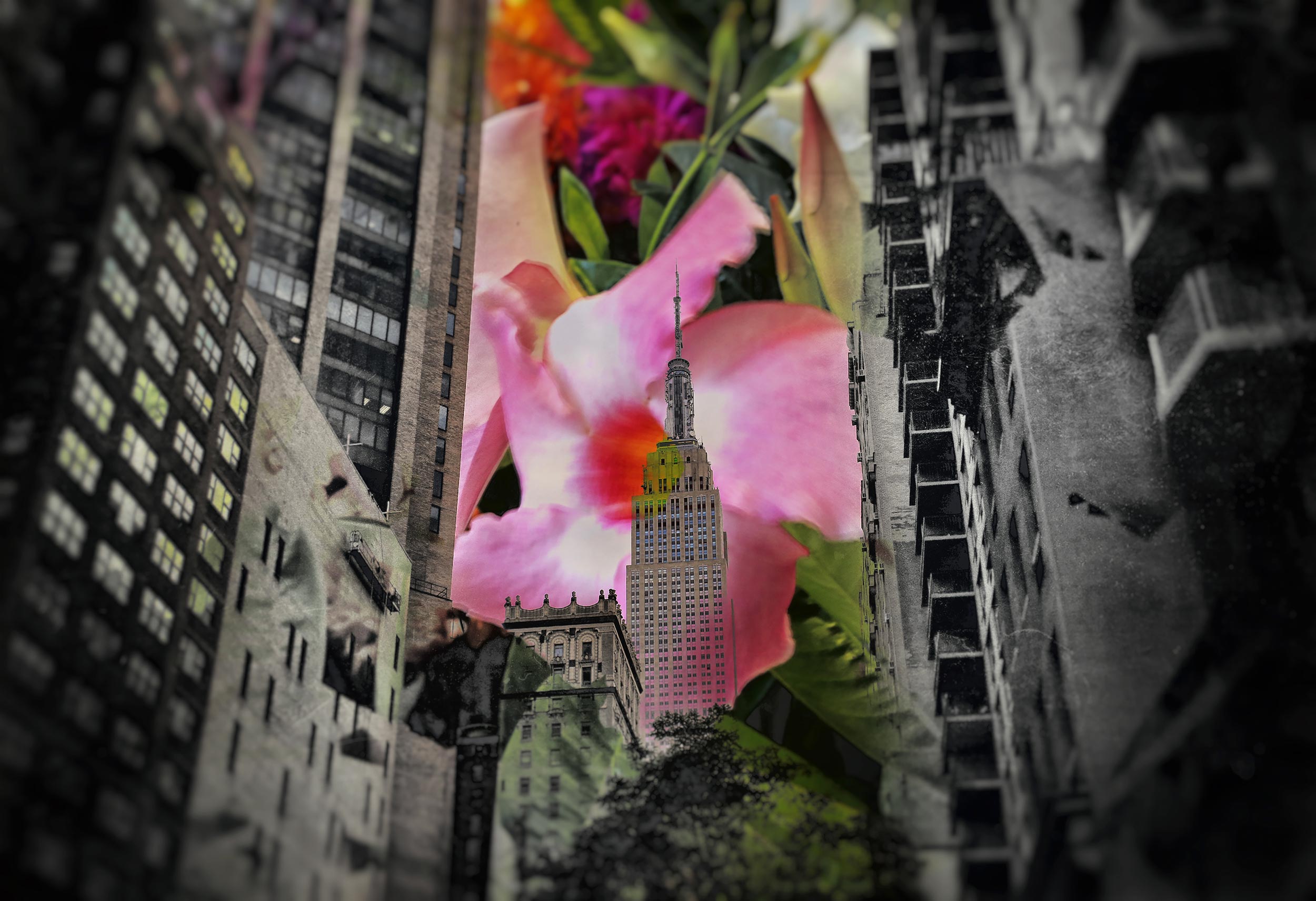 Lead-me-to-your-door-Tonal-Empire-State-and-Flower-1T4A1425.jpg