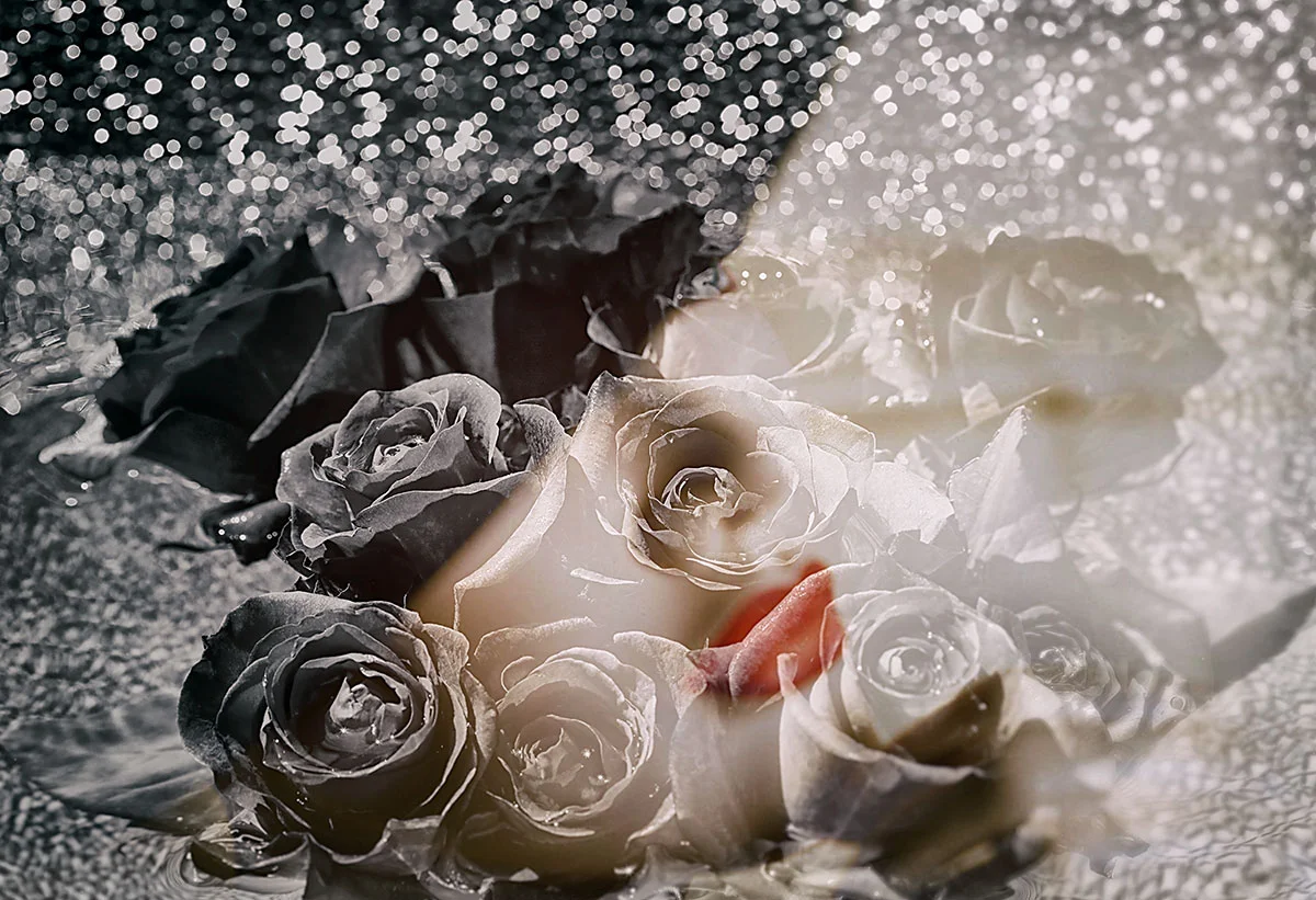 A bouquet of roses lying on a wet, reflective surface with water droplets and bokeh lights in the background.