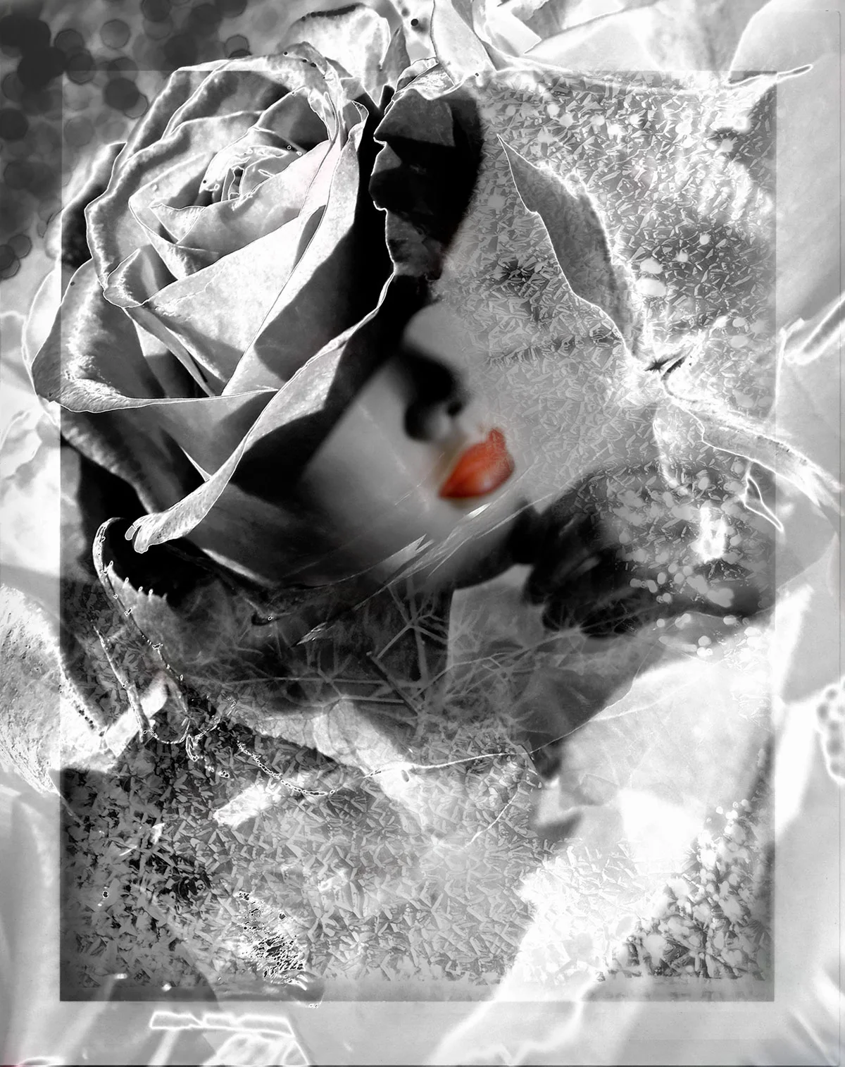 A black and white photo of a woman with her face partially visible, her eyes closed, lips with red lipstick, surrounded by large roses and textured foliage.
