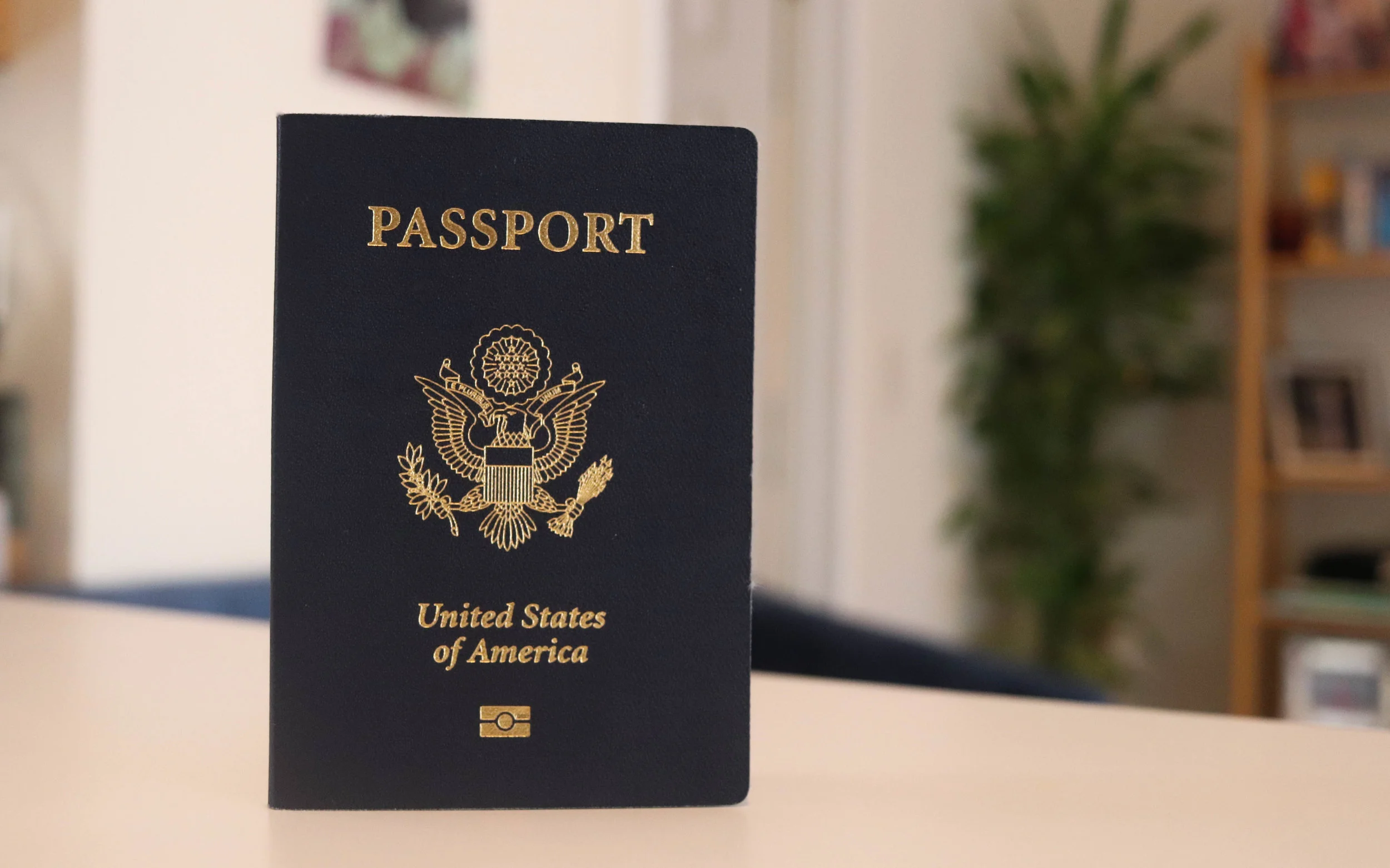 What's In My CarryOn? — Dolby Travels