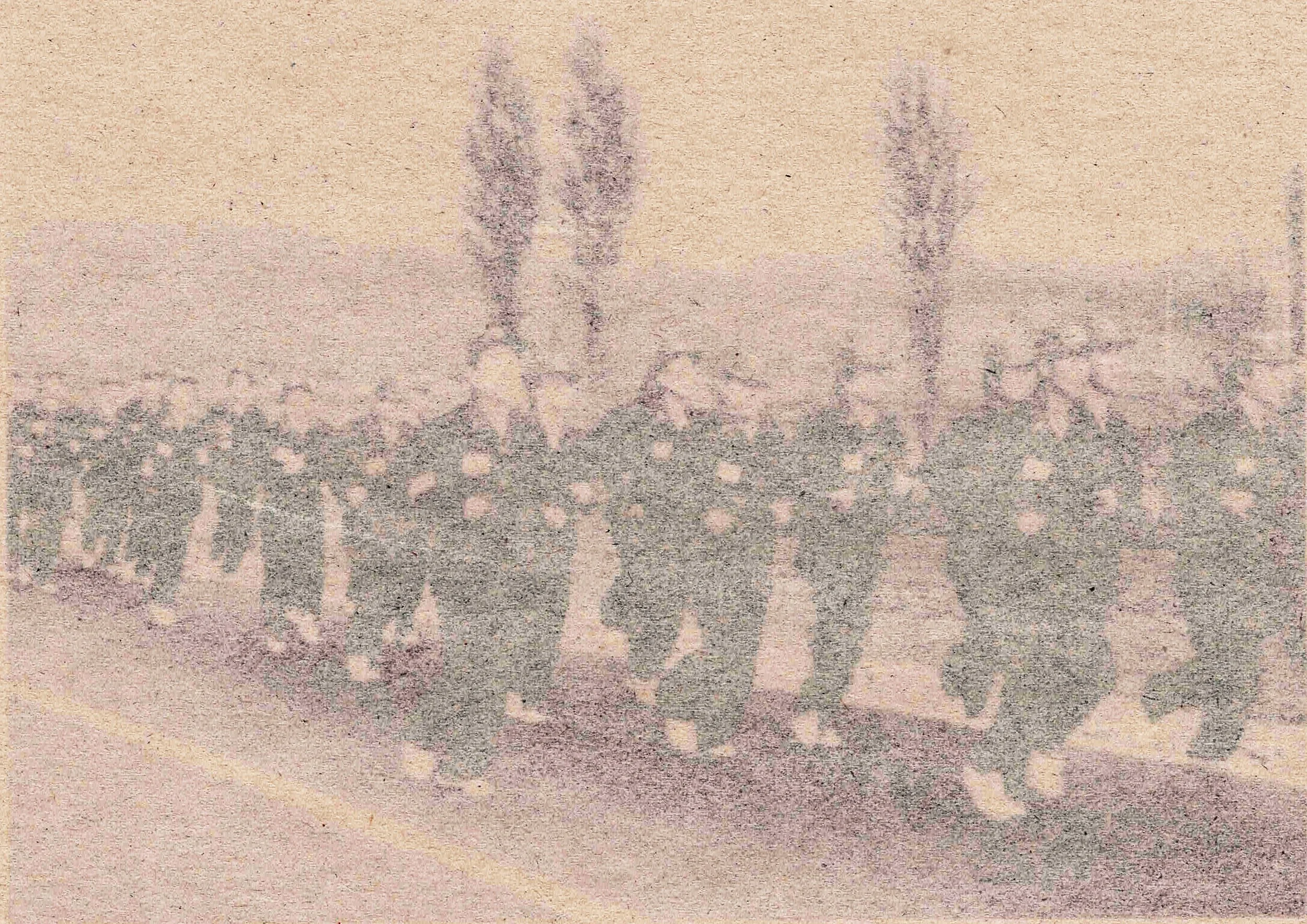 R2 D marching.jpg