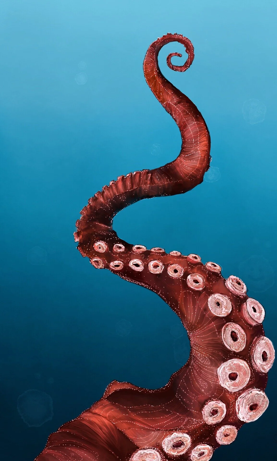 Untitled_Artwork 11.JPG