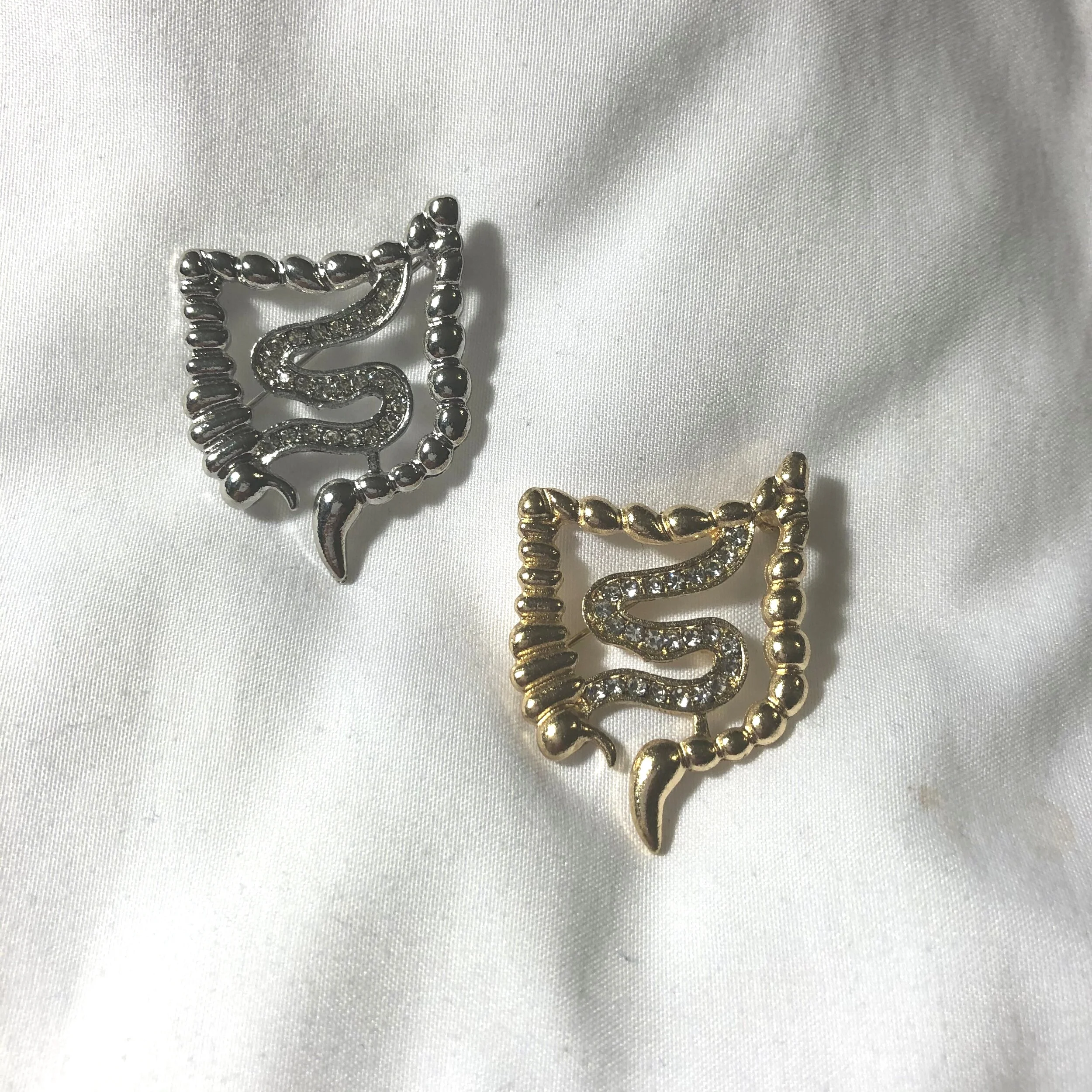 Gastroenterology II: Intestine Pin