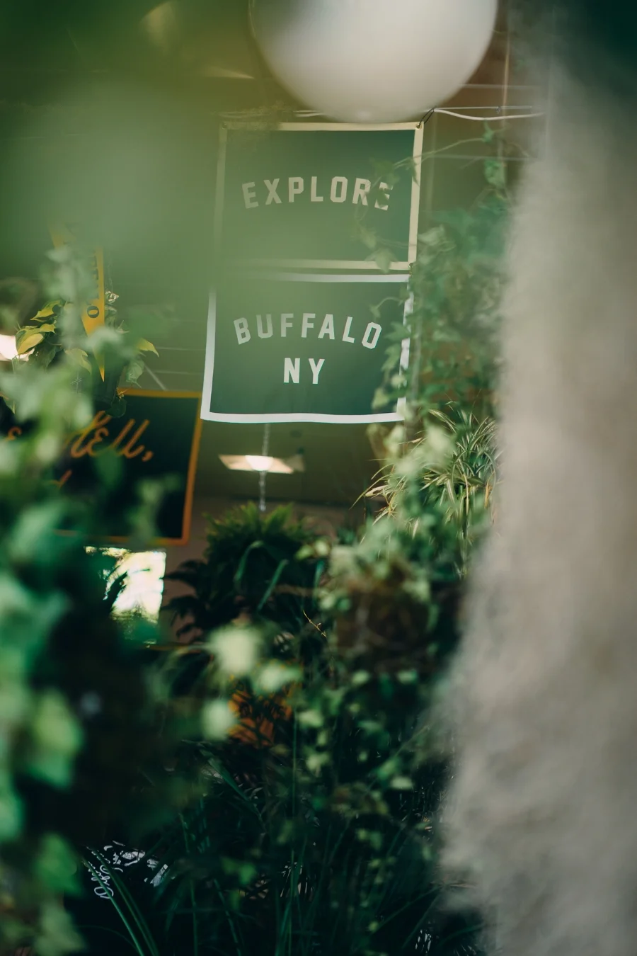Photo: Ryan Kell