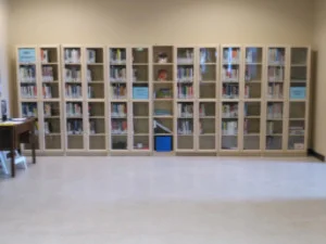 LibraryShelves.jpg