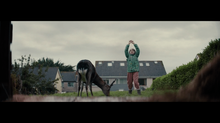 Share the Magic-high.gif