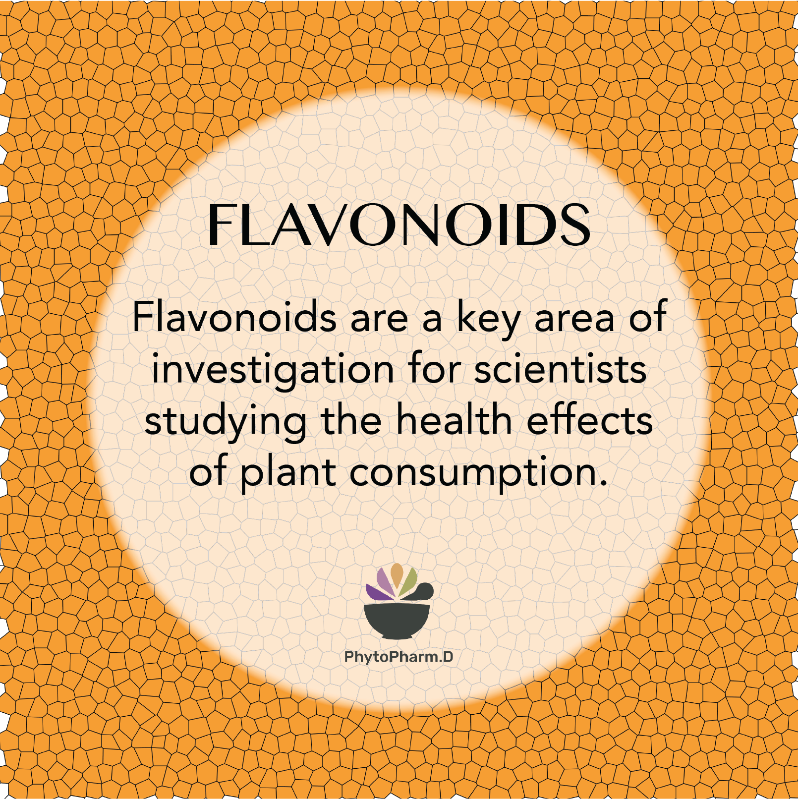 FLAVONOIDS10.png
