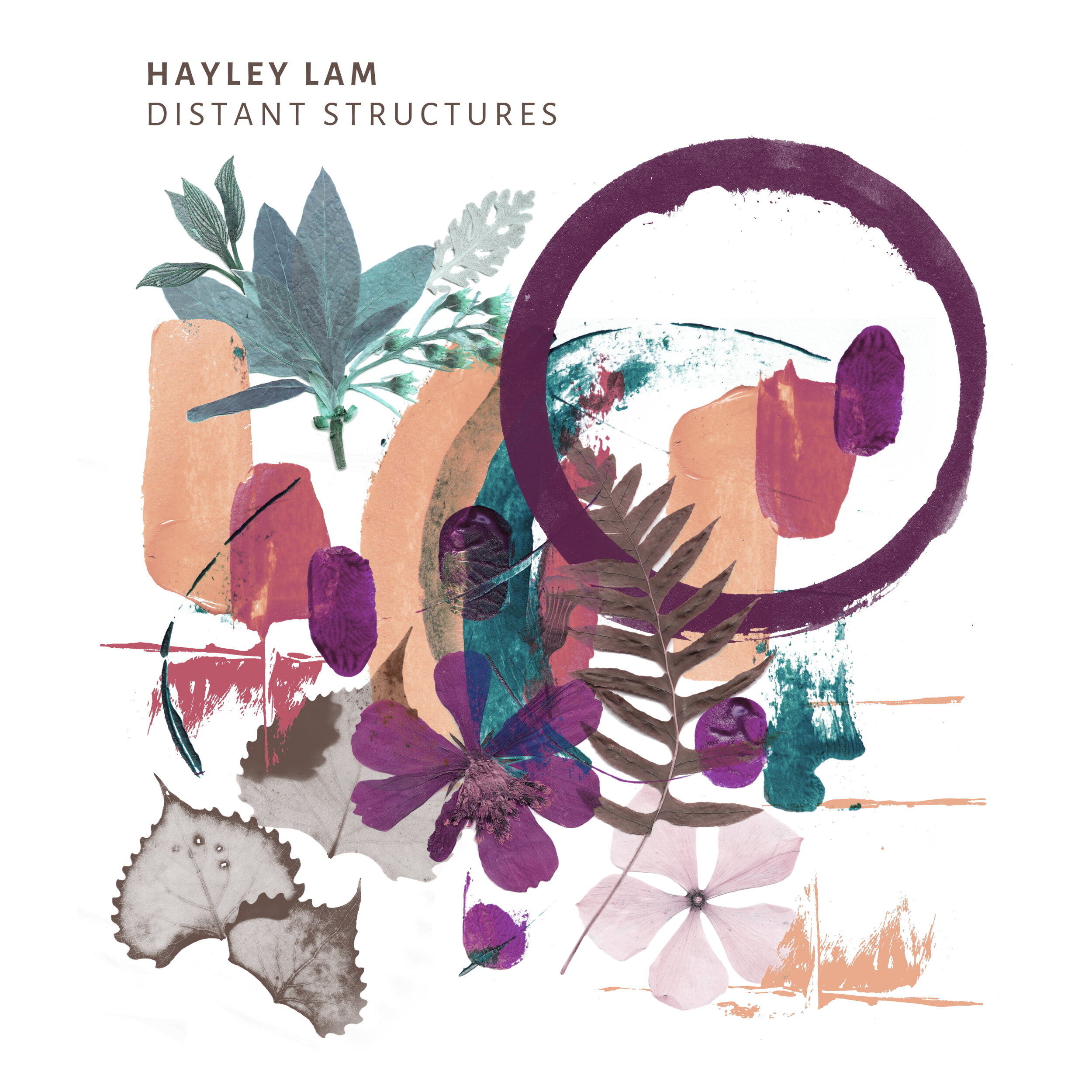 HAYLEY LAM COVER HIGH RES 3000x3000 digital outlets.jpg