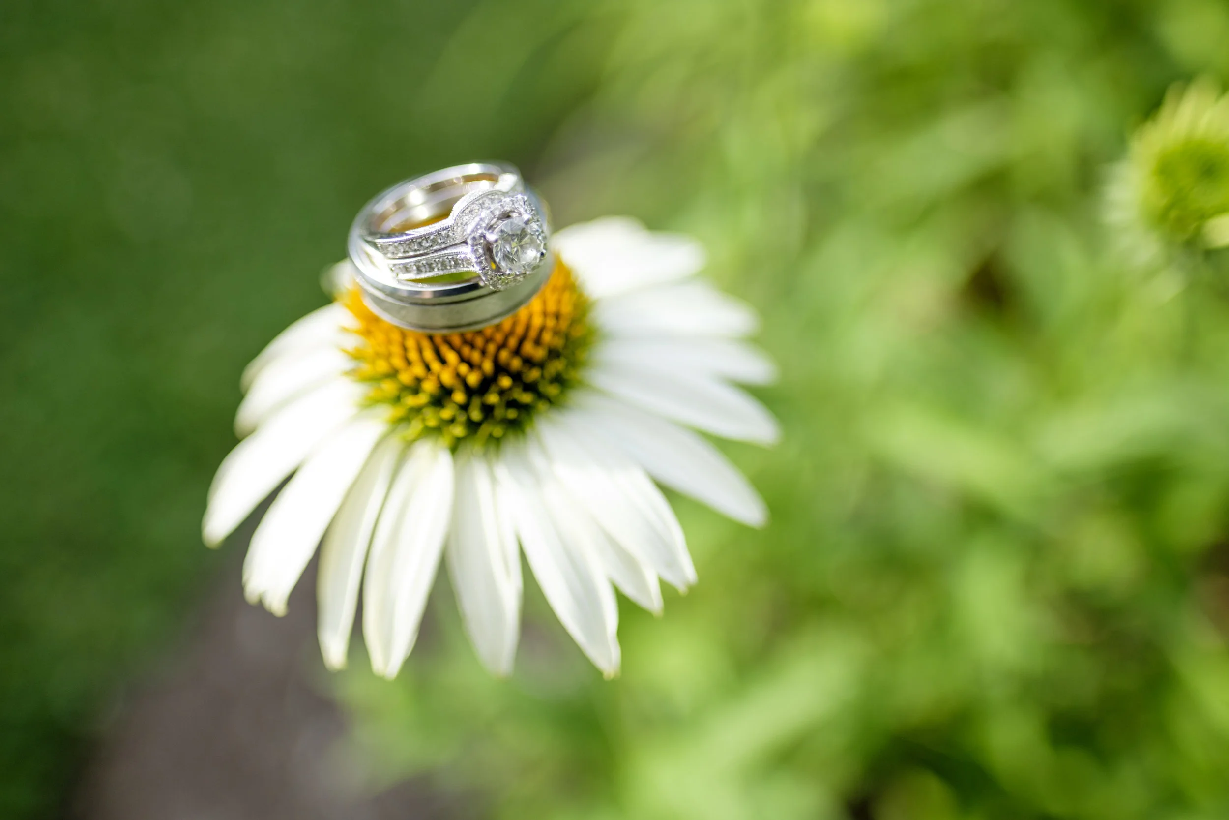 Katie&BillyWeddingFavs-042.jpg