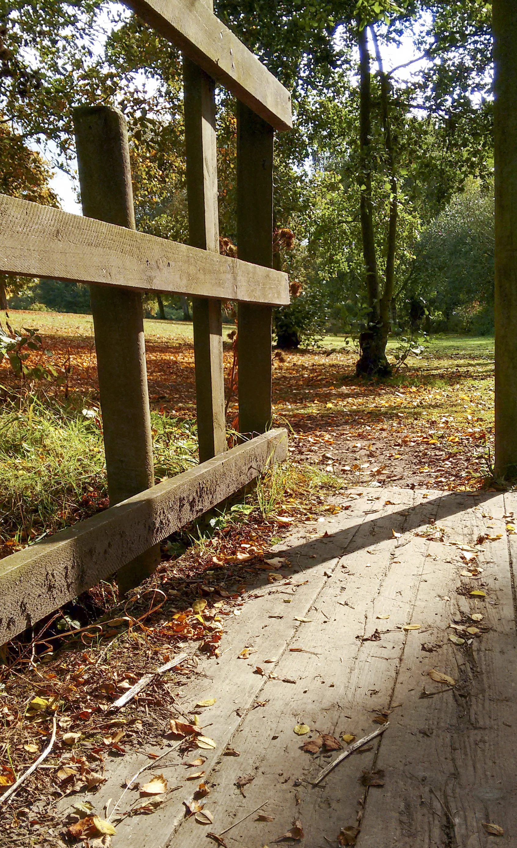 Small wooden bridge across to trees and grass area