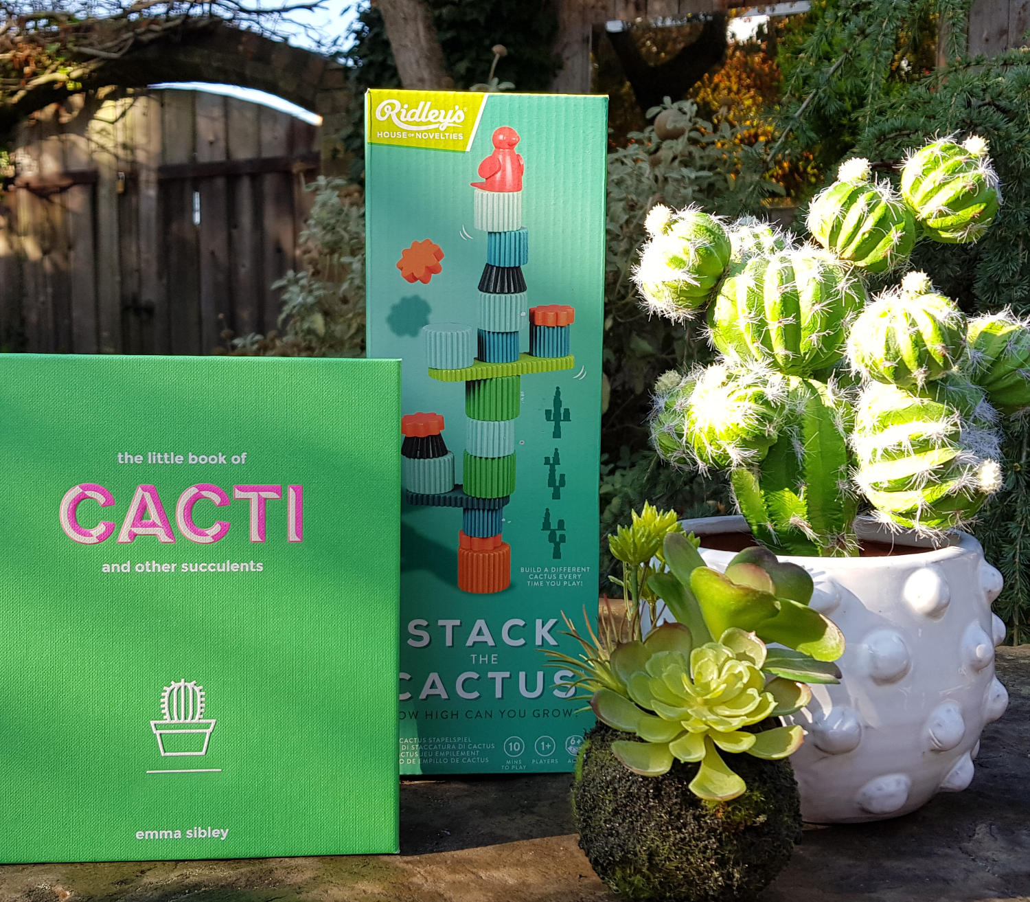 cacti_and_succulents_book_and_stack_cactus_game.jpg