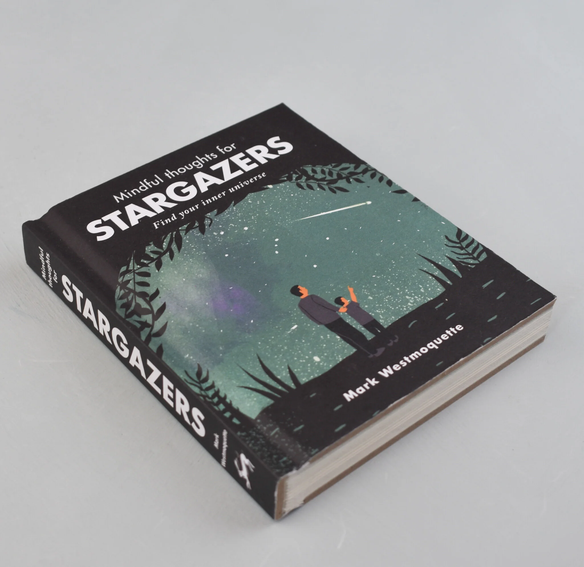'mindful thoughts for stargazers' book