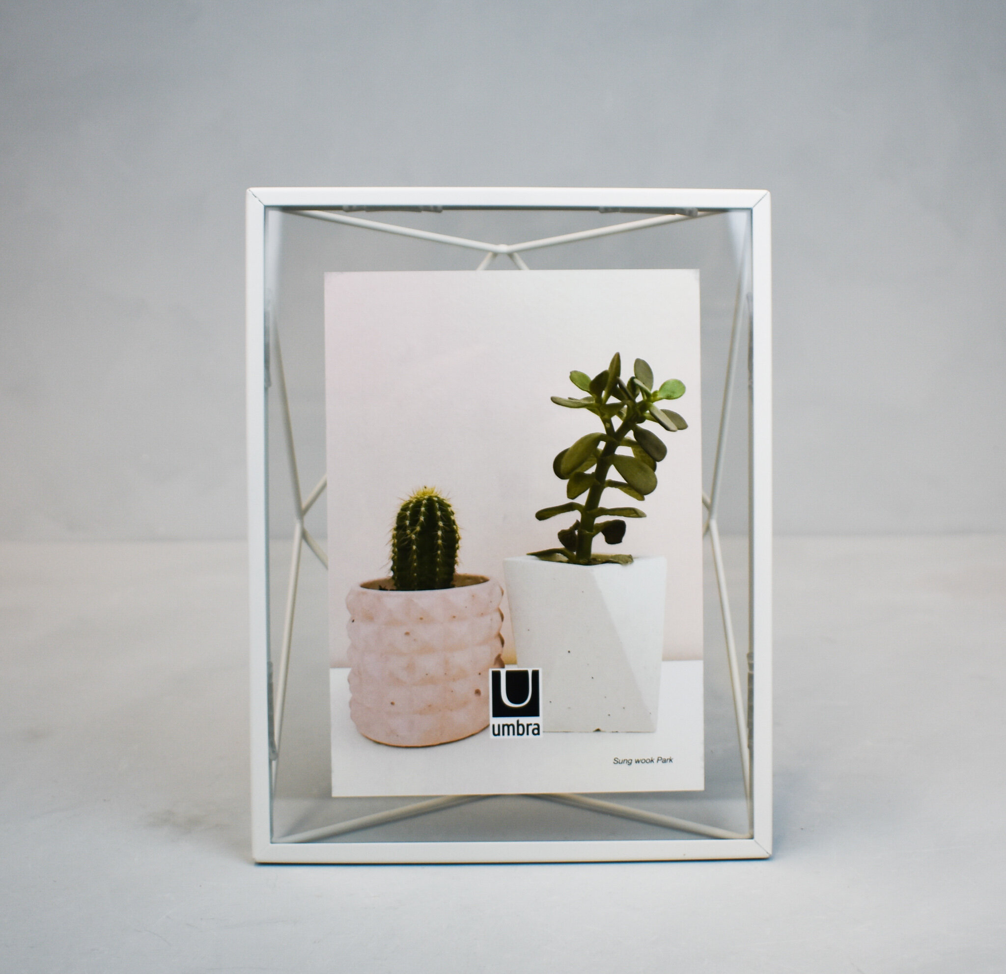 Prisma metal frame, white, by Umbra