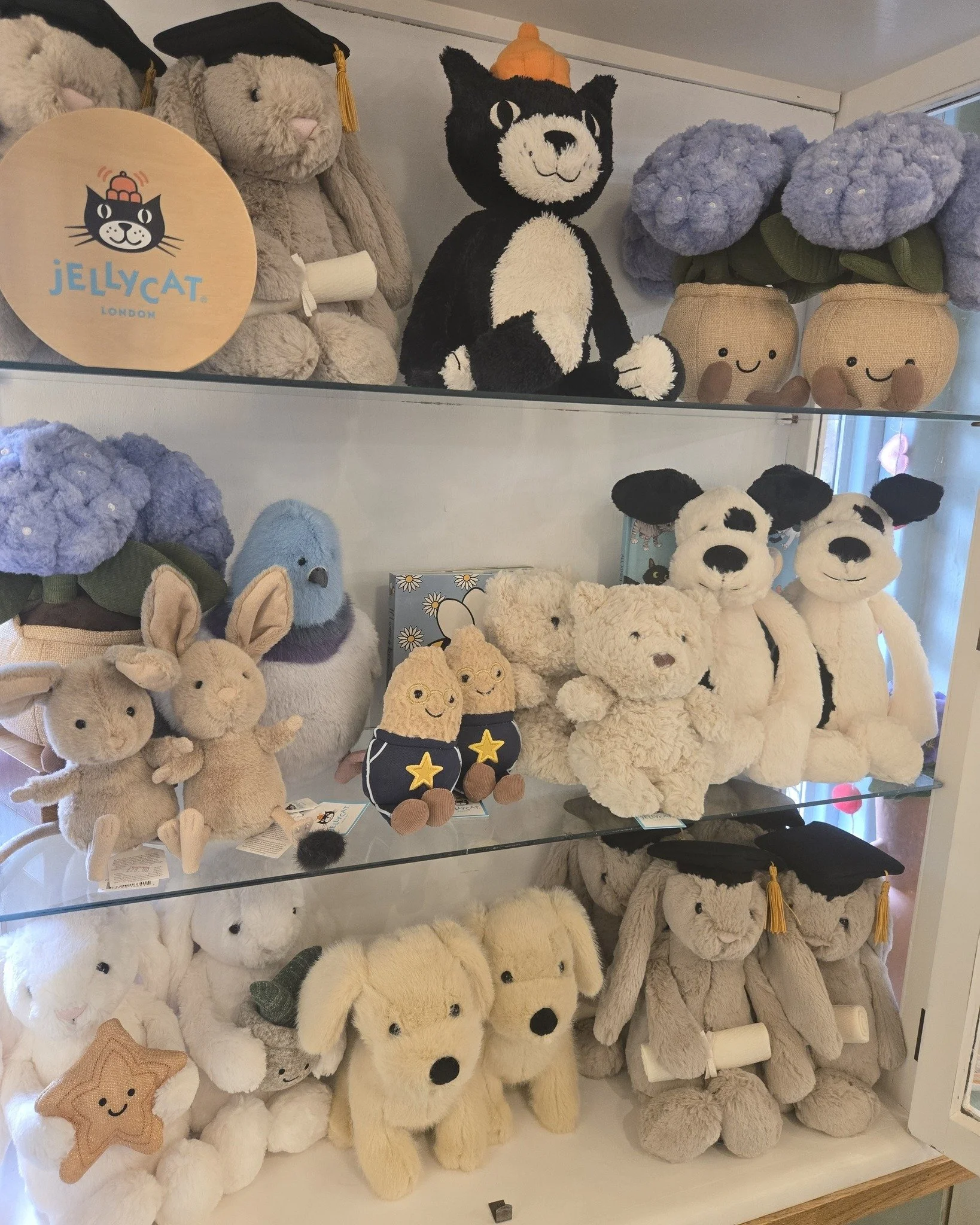 A little top up of Jellycat just been put out.