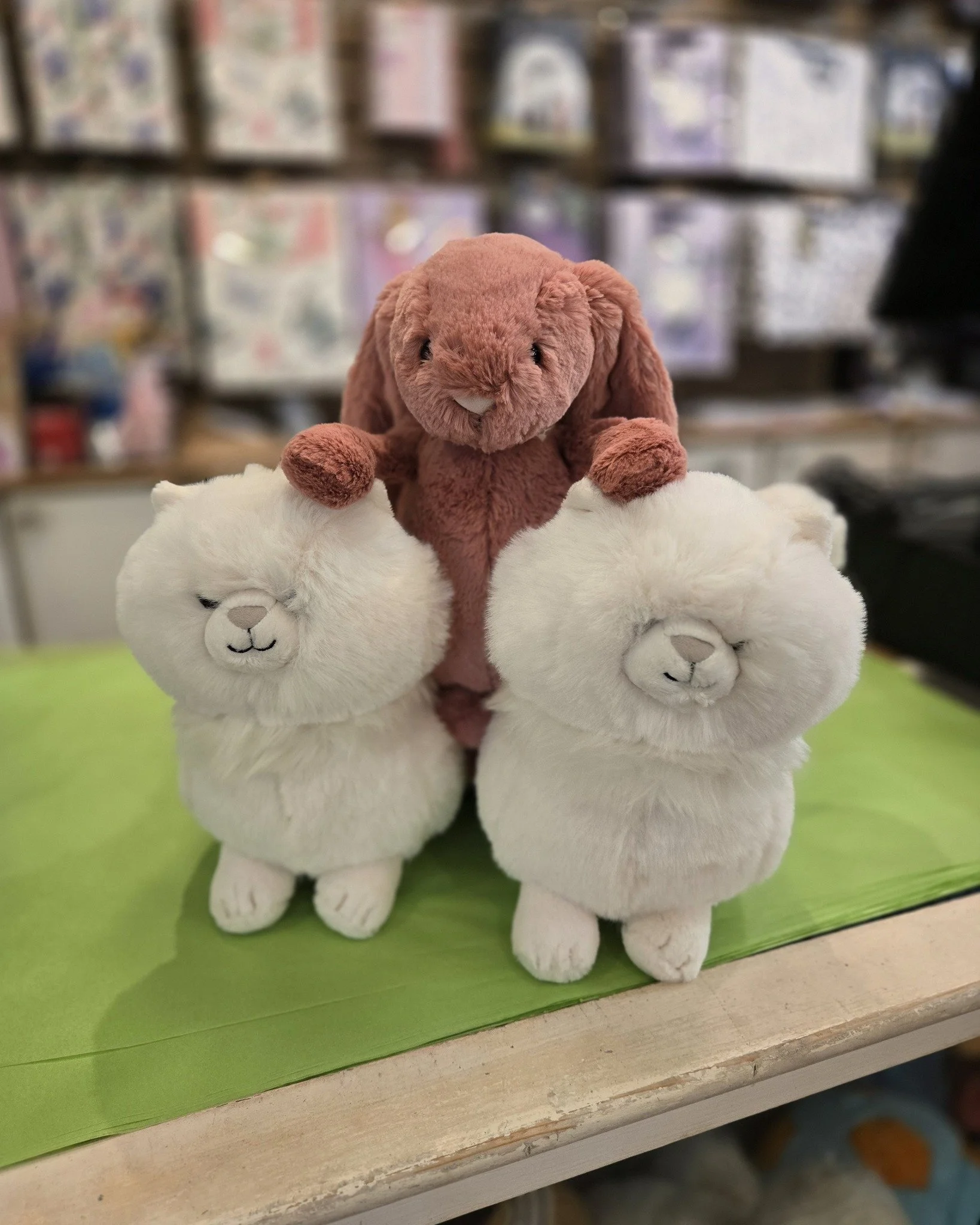 We have just had Carissa Persian Cat Jellycat arrive. So cute 😍