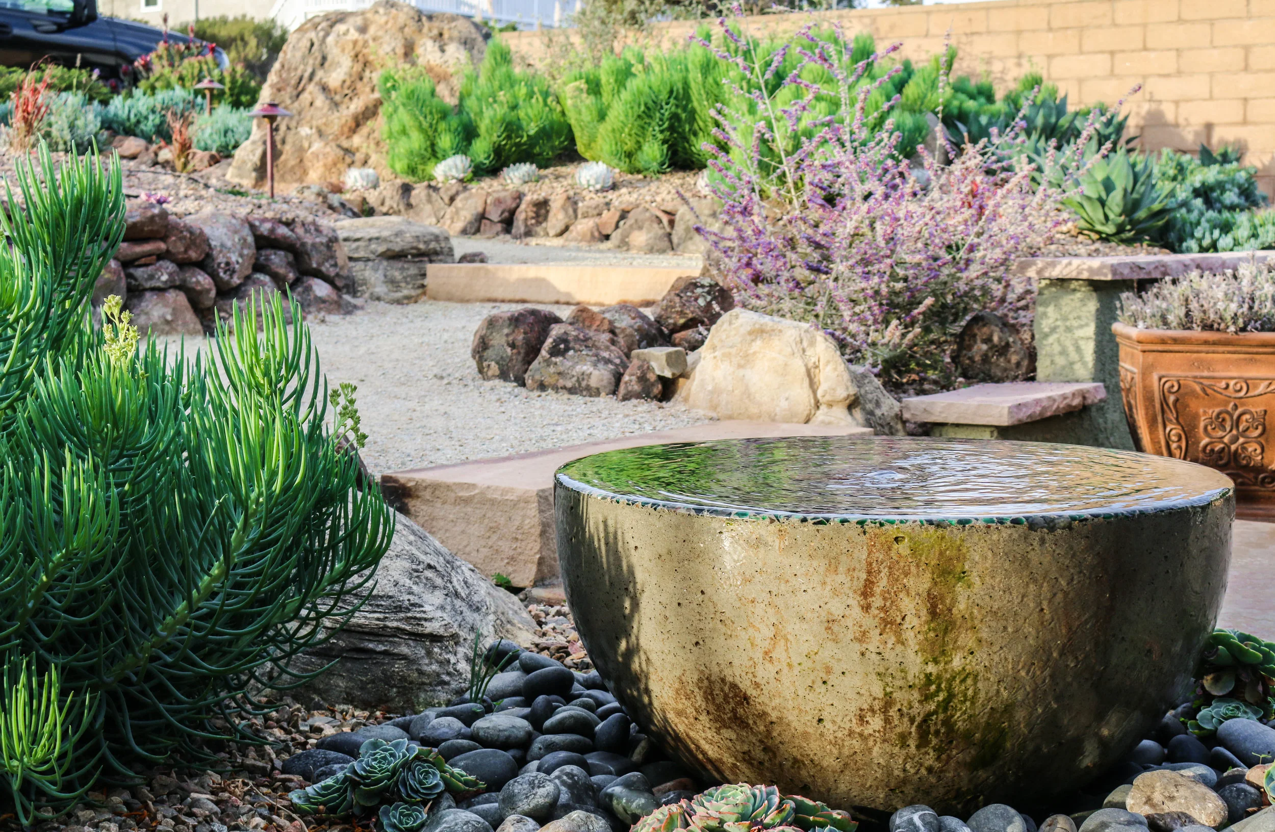 TIDE POOL GARDEN