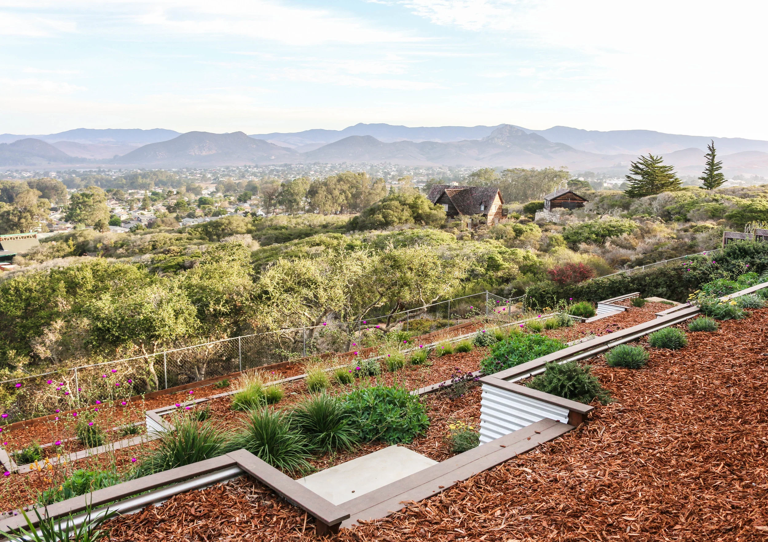 TERRACED HILLSIDE