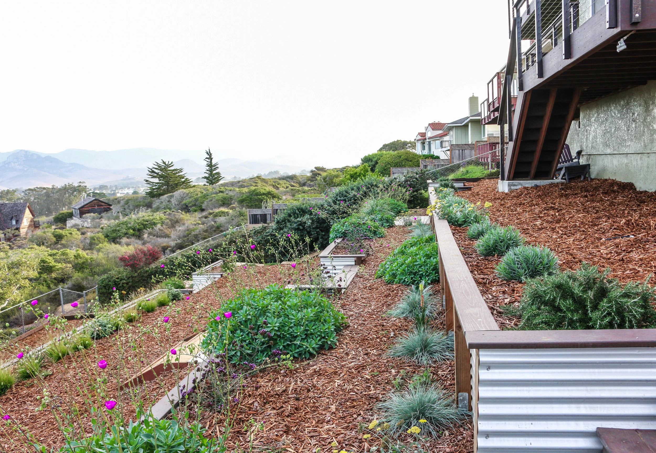 TERRACED HILLSIDE