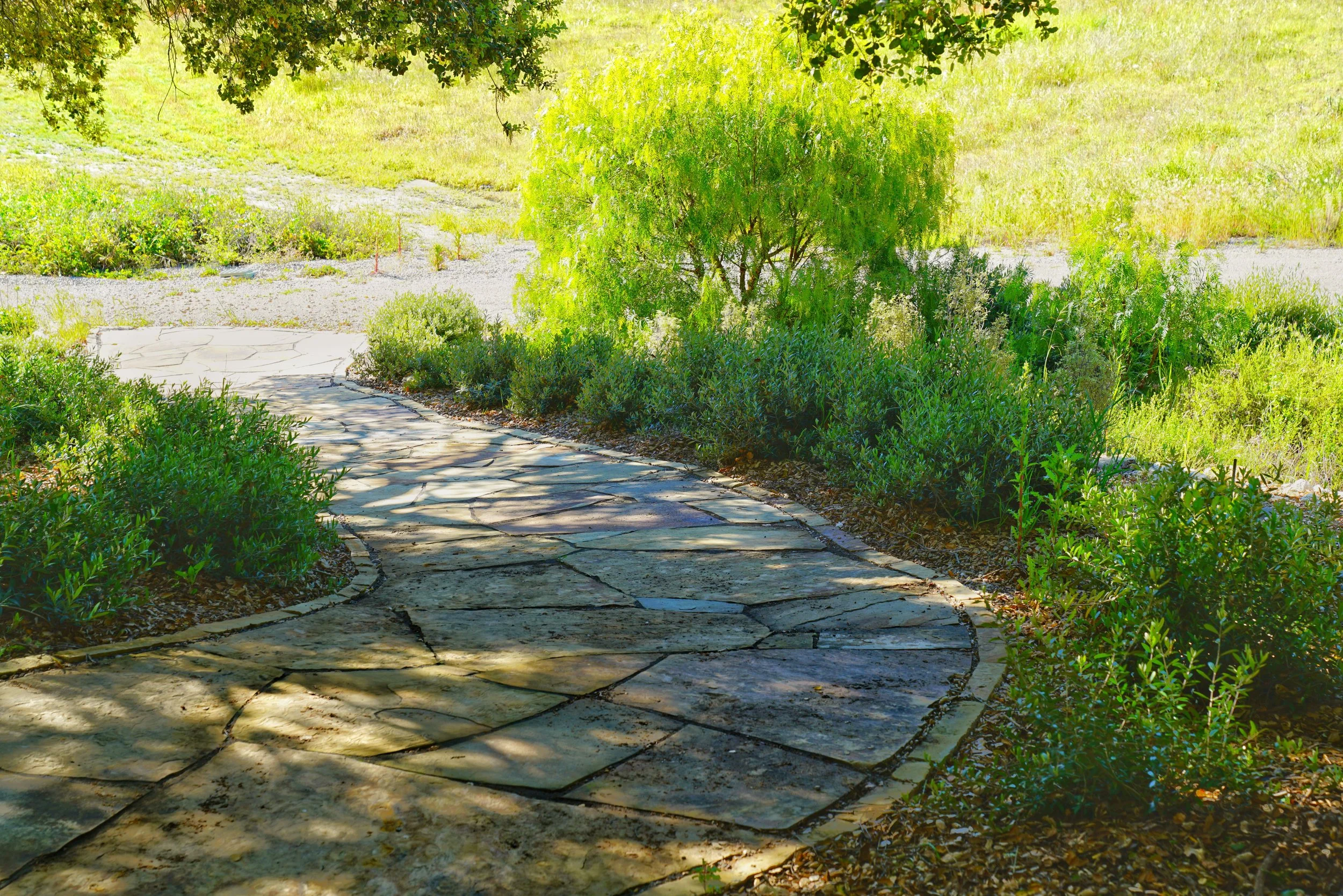 Photo Apr 05 2023, 9 27 32 AM.jpg