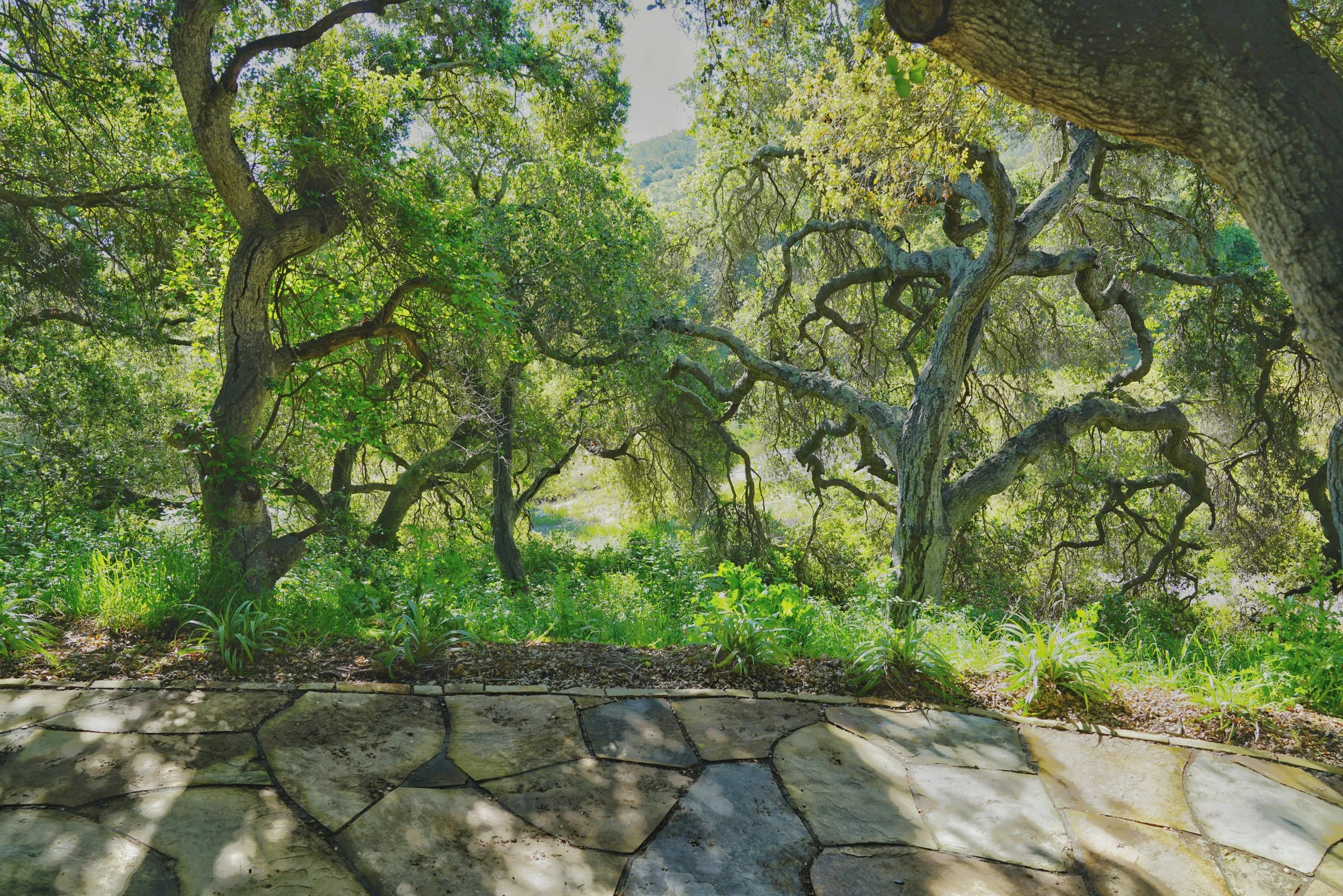 Photo Apr 05 2023, 9 42 19 AM.jpg