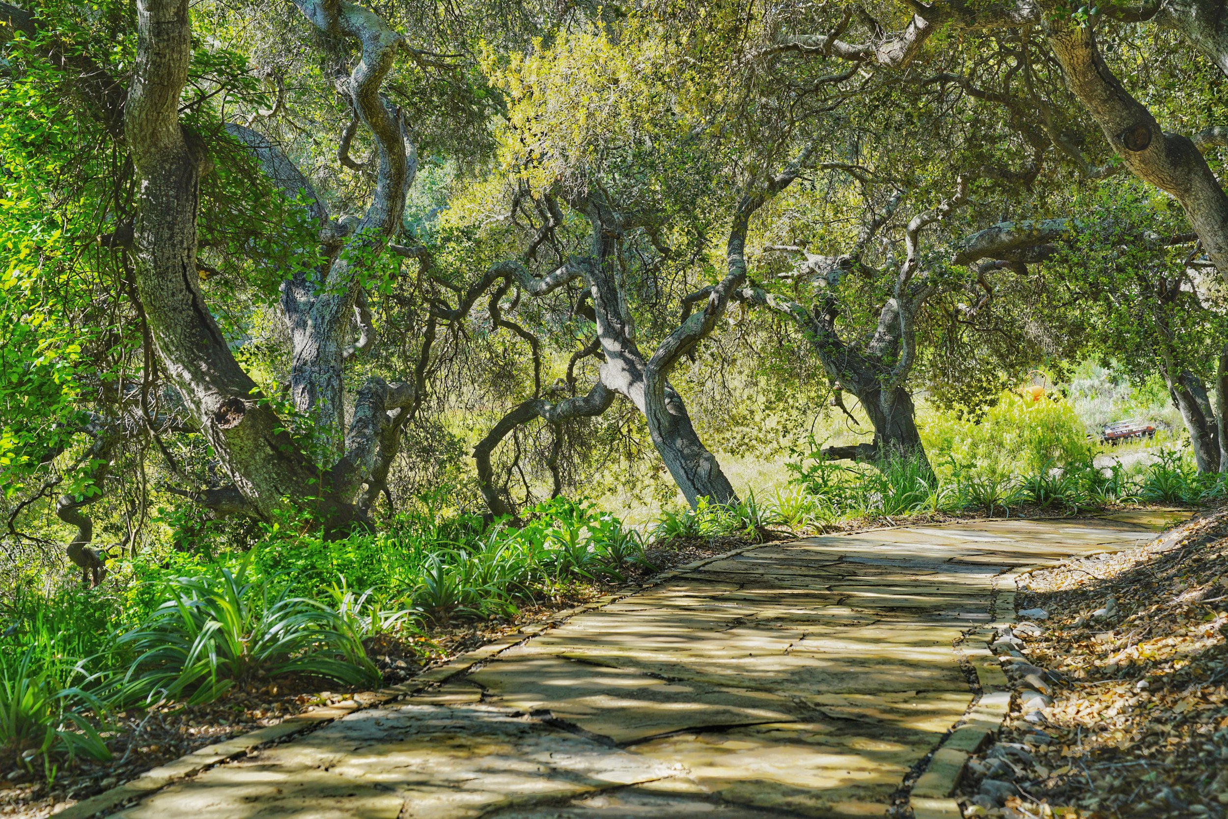 Photo Apr 05 2023, 9 45 31 AM.jpg