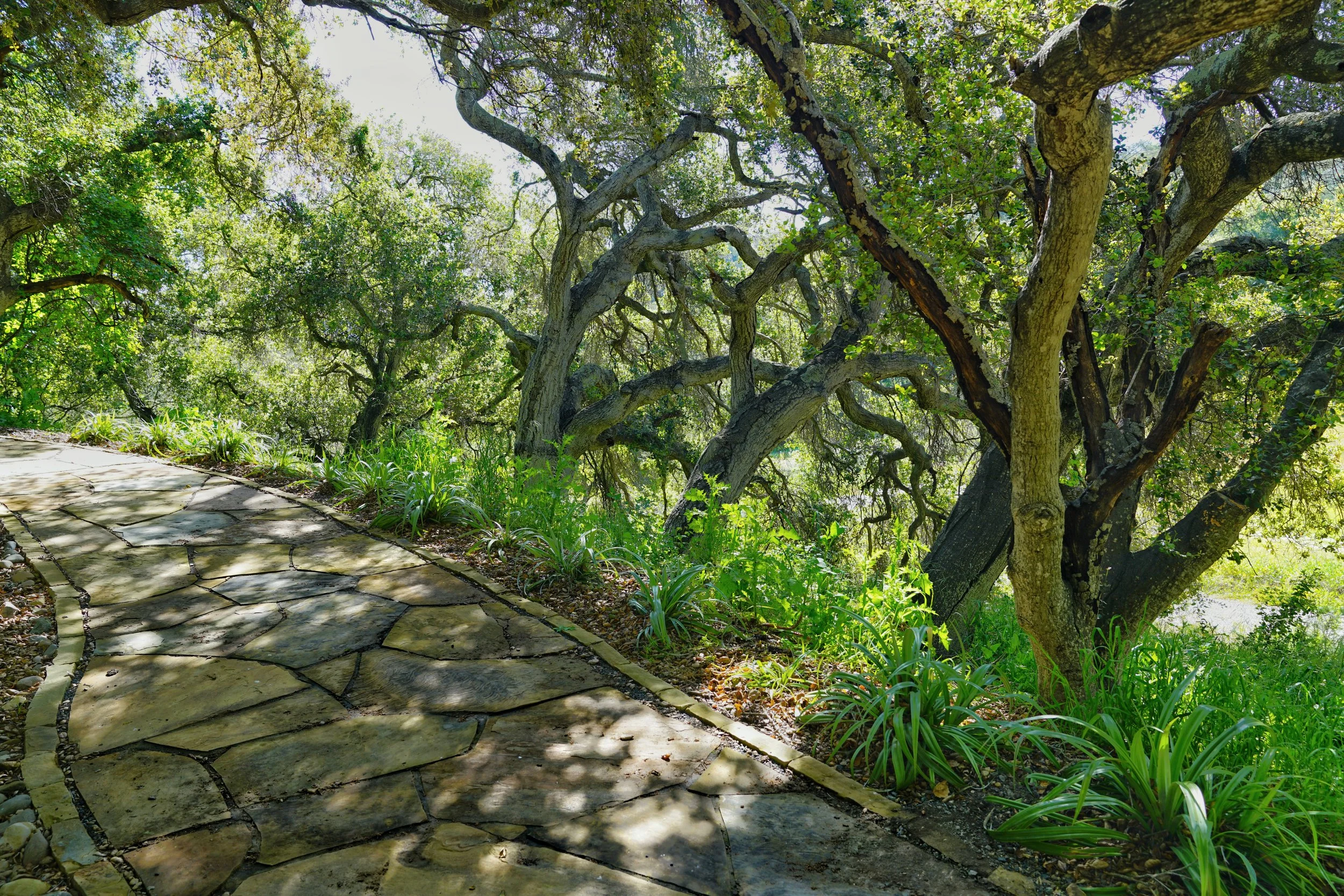 Photo Apr 05 2023, 10 18 22 AM.jpg