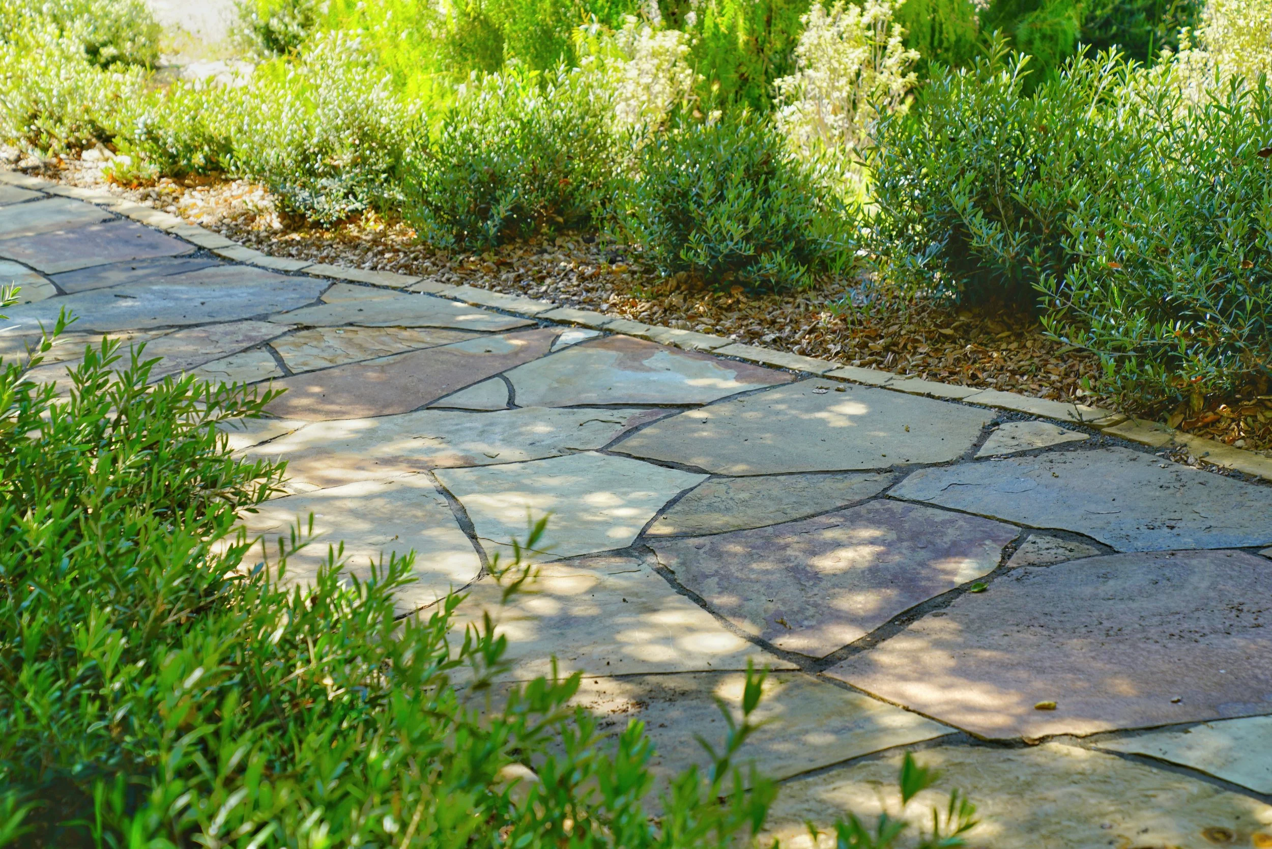 Photo Apr 05 2023, 10 21 51 AM.jpg