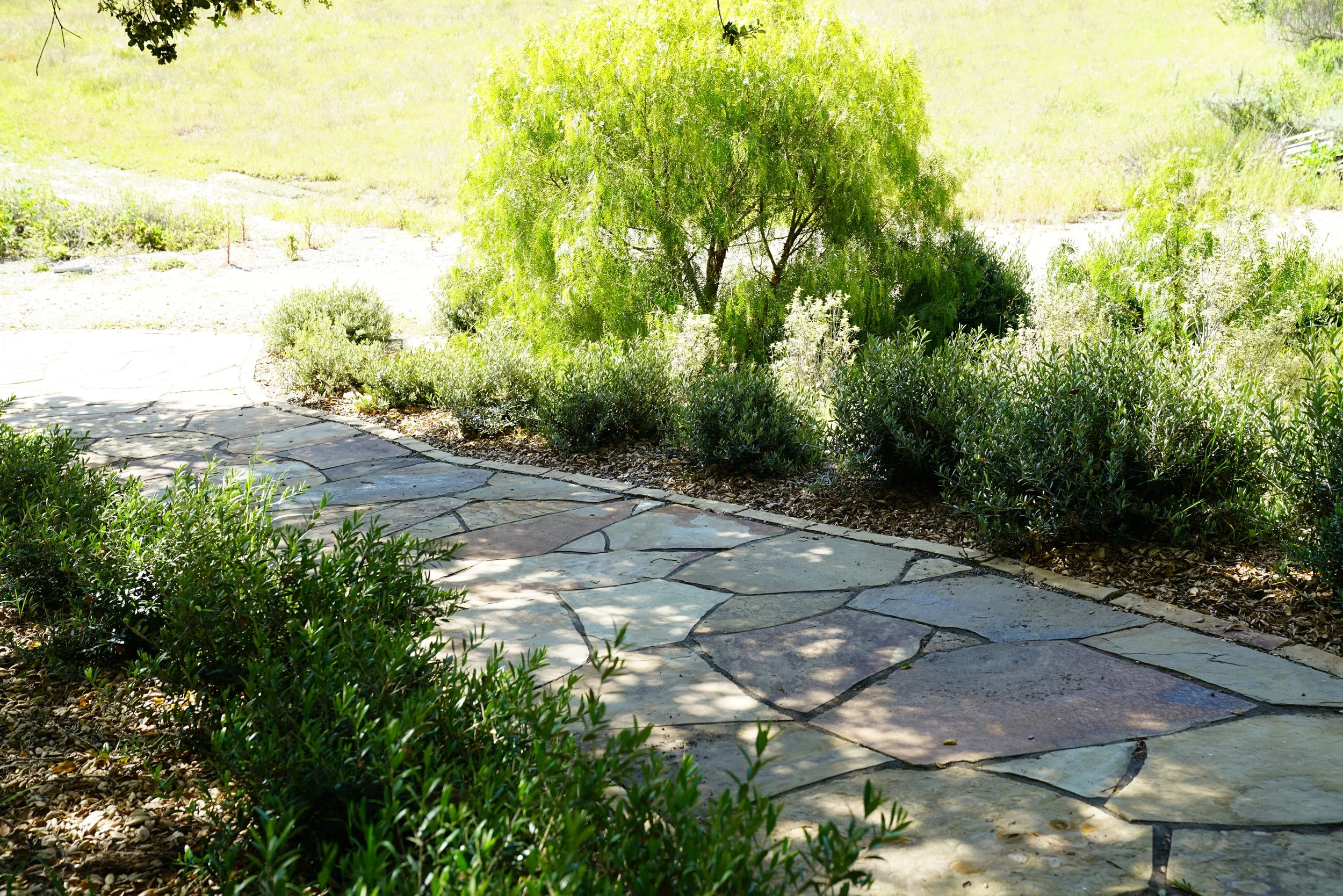 Photo Apr 05 2023, 10 21 58 AM.jpg