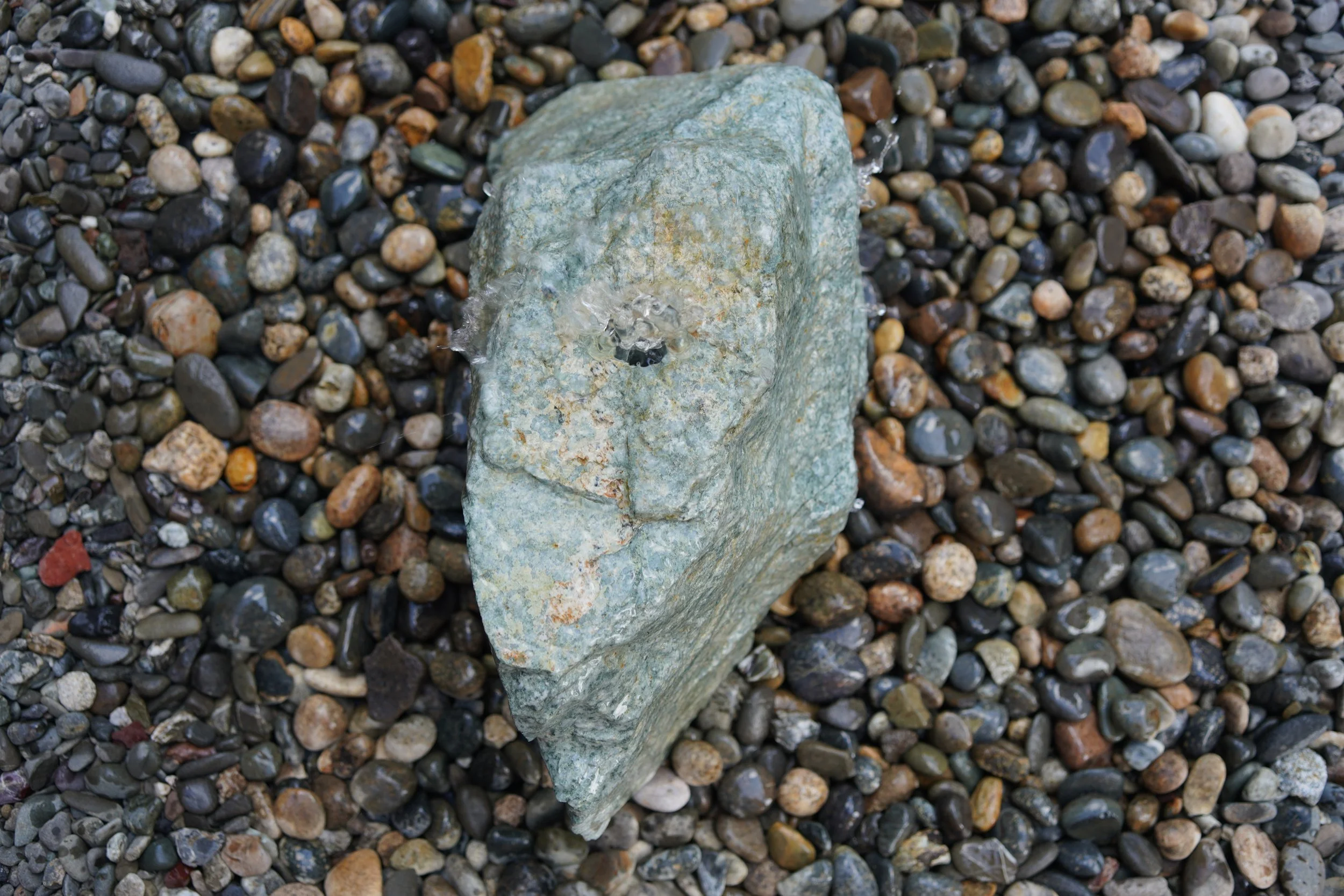 DSC05779.JPG