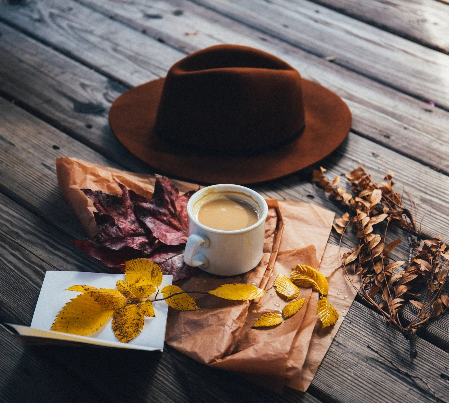 Photo by Alisa Anton on Unsplash