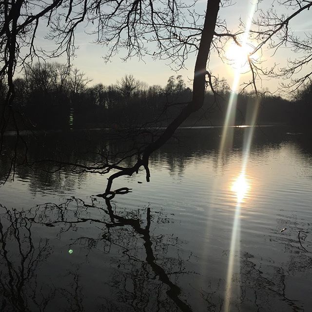 #nature #sunset #sun #lake