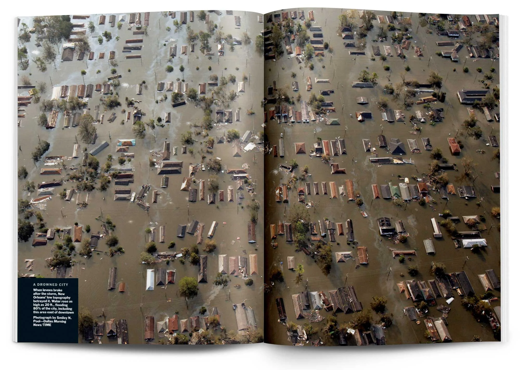 layouts.katrina2.jpg