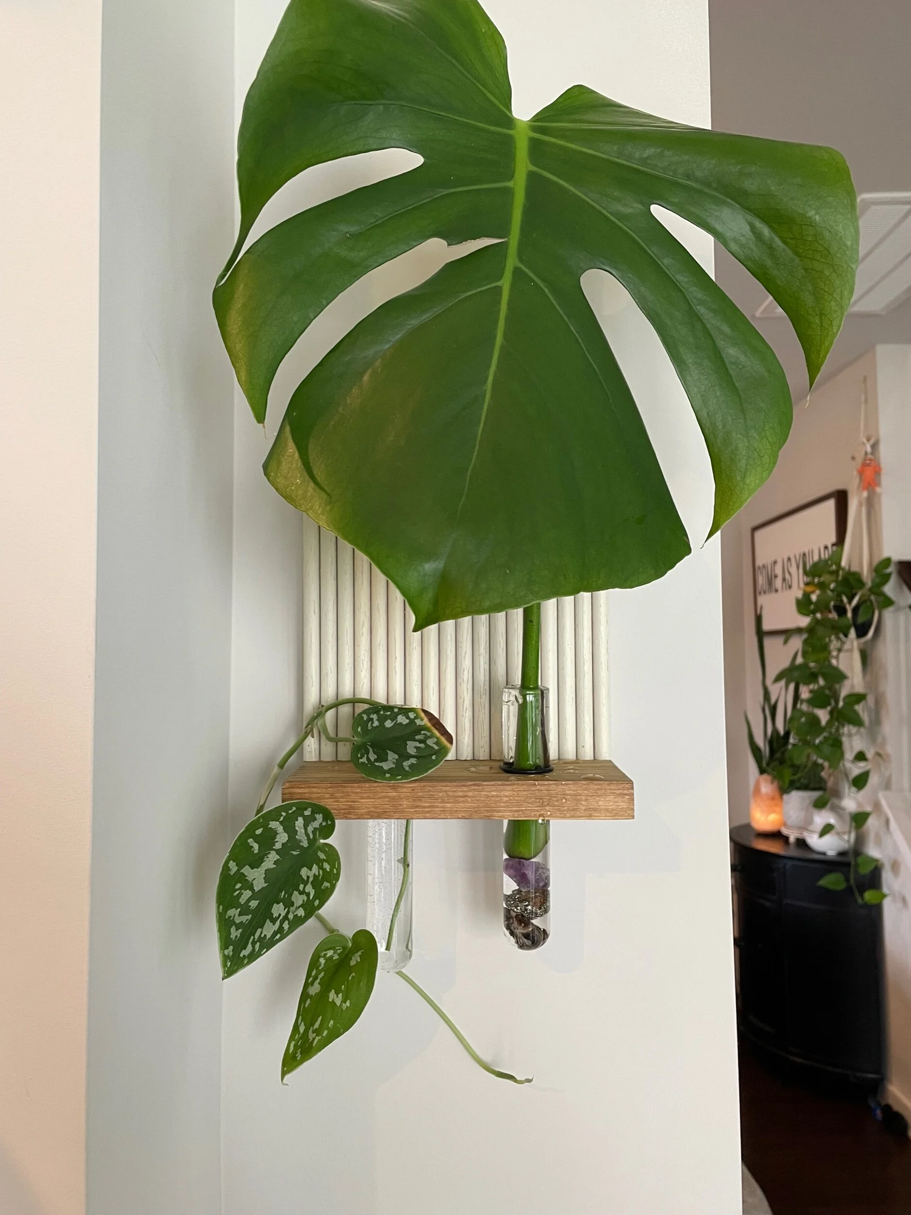 E1C72DA4-0AED-4A86-B24F-0B314CE249DC