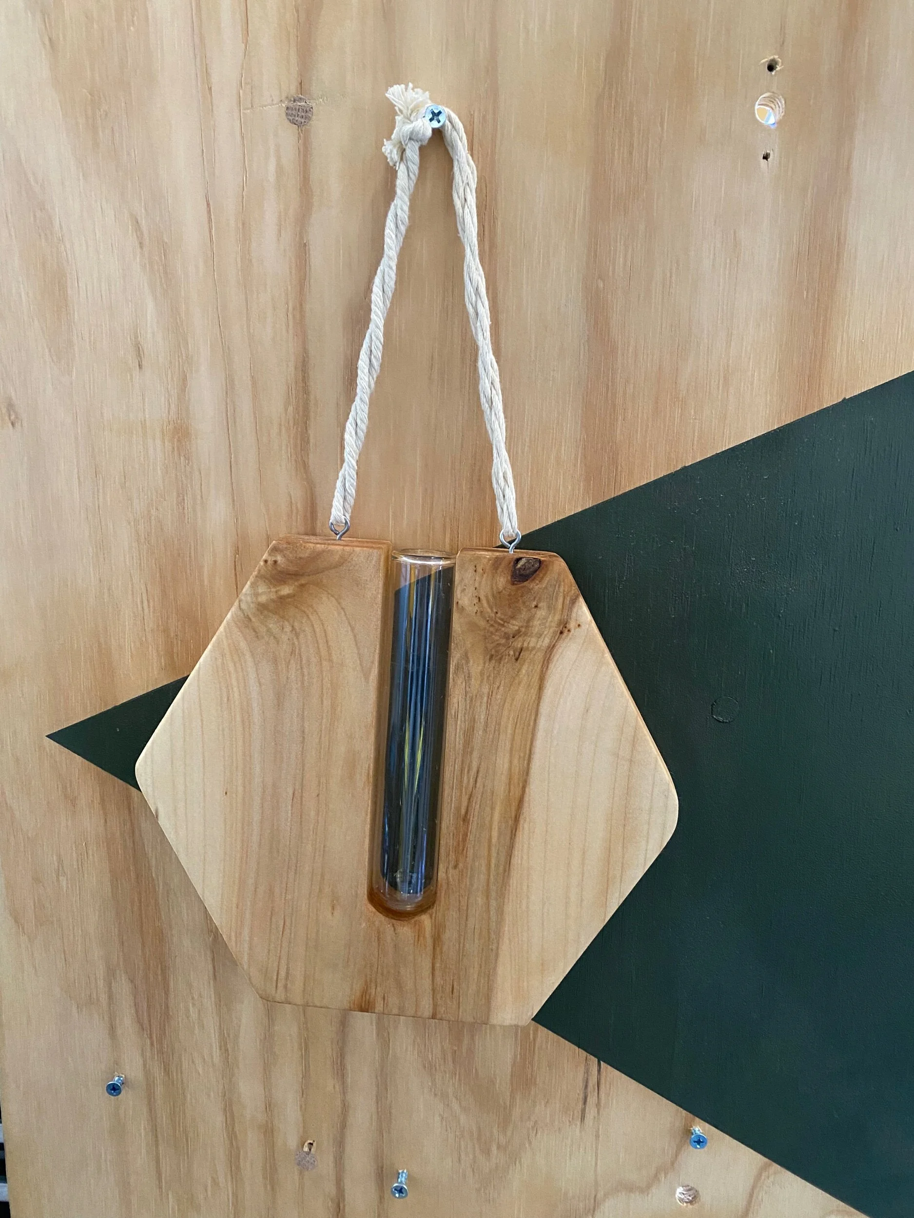 F8E16D59-0457-4137-92DA-833391E39C31