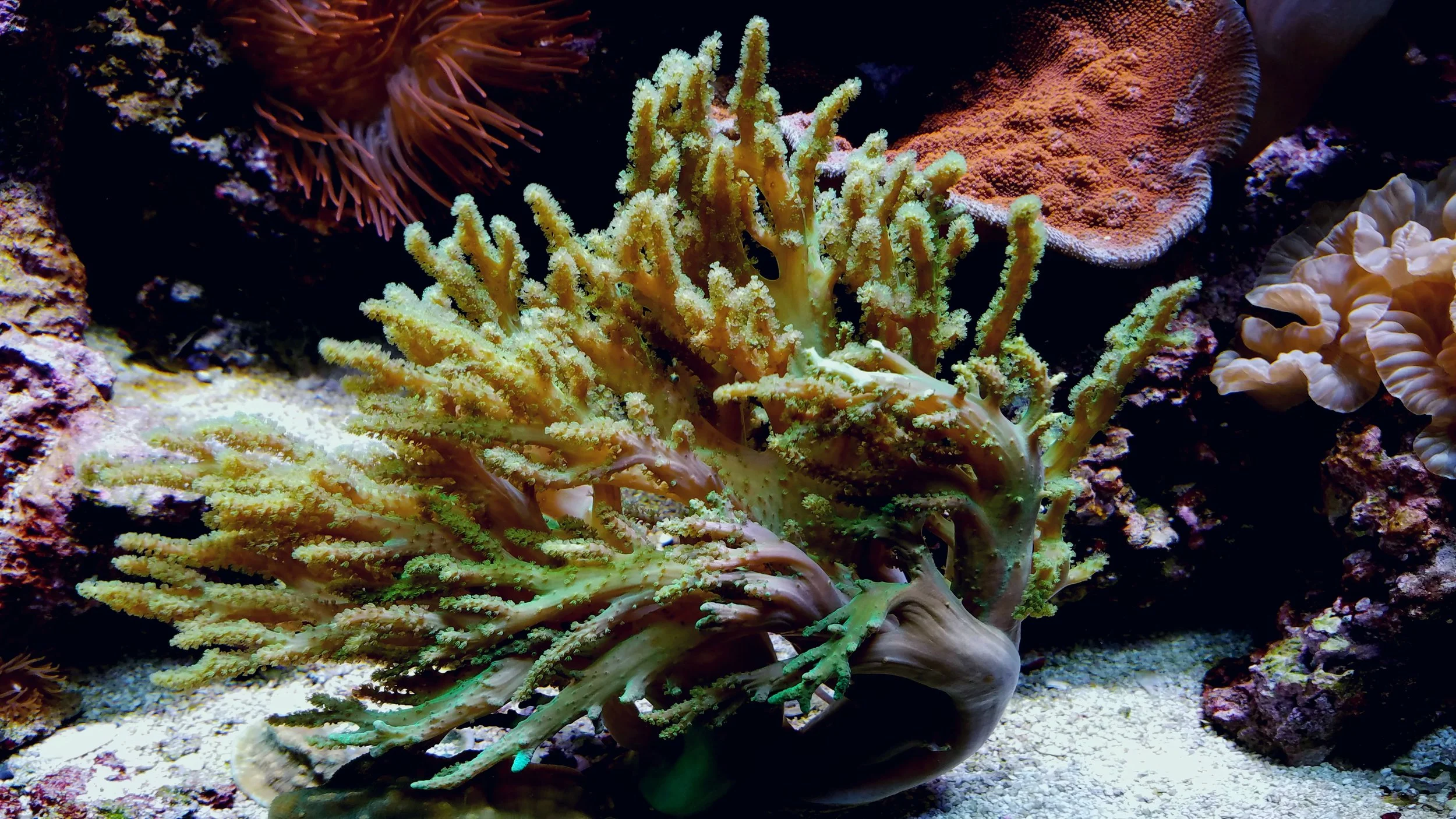 20170630_162331.jpg